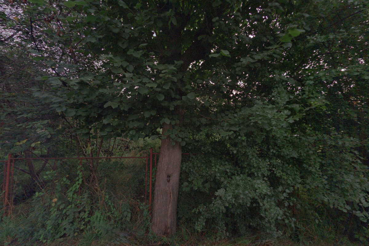 Zdeněk Hlodan foto 3