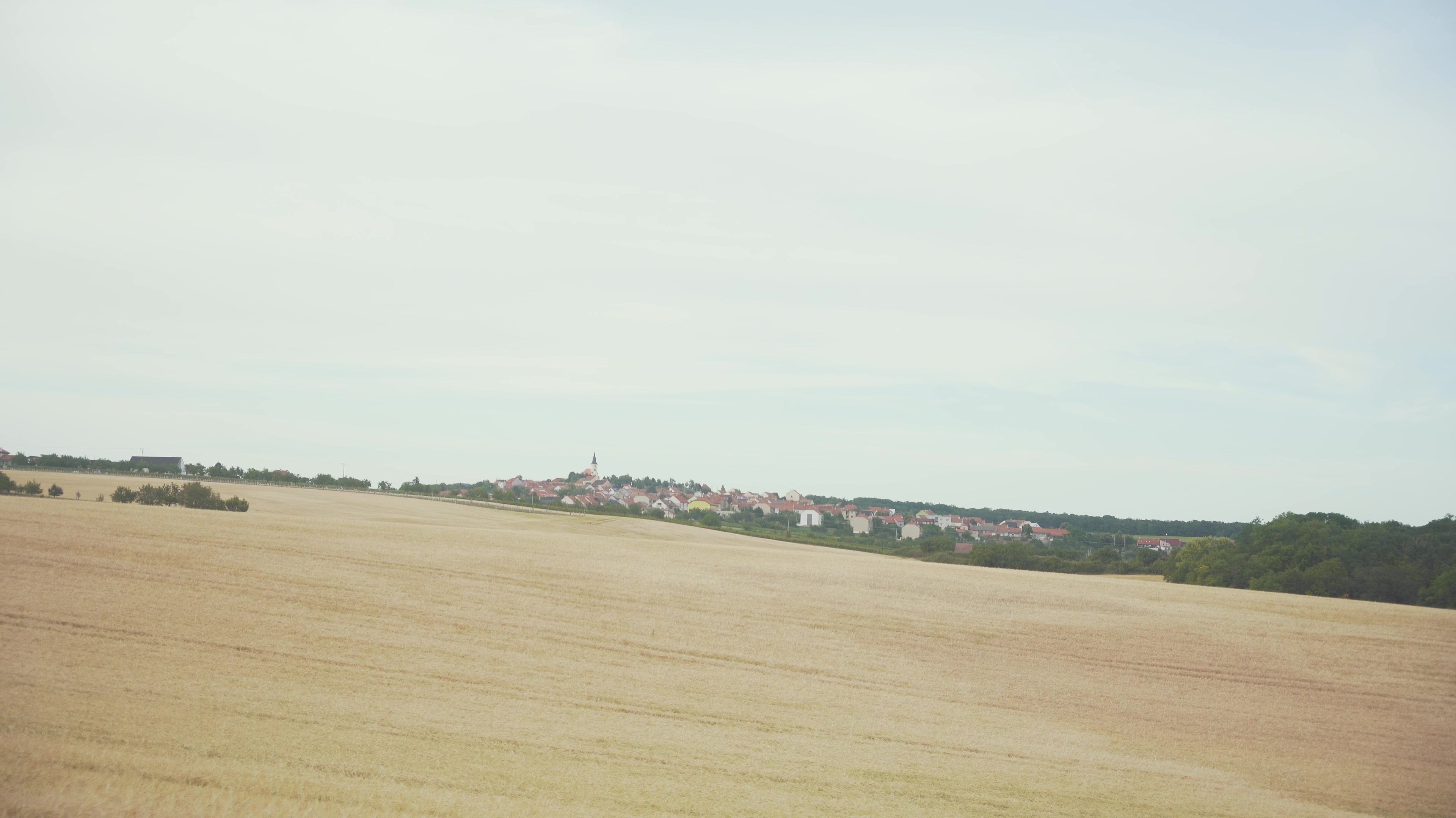 Vinařství Mitoma Vrbice s.r.o. foto 2 (náhled videa)