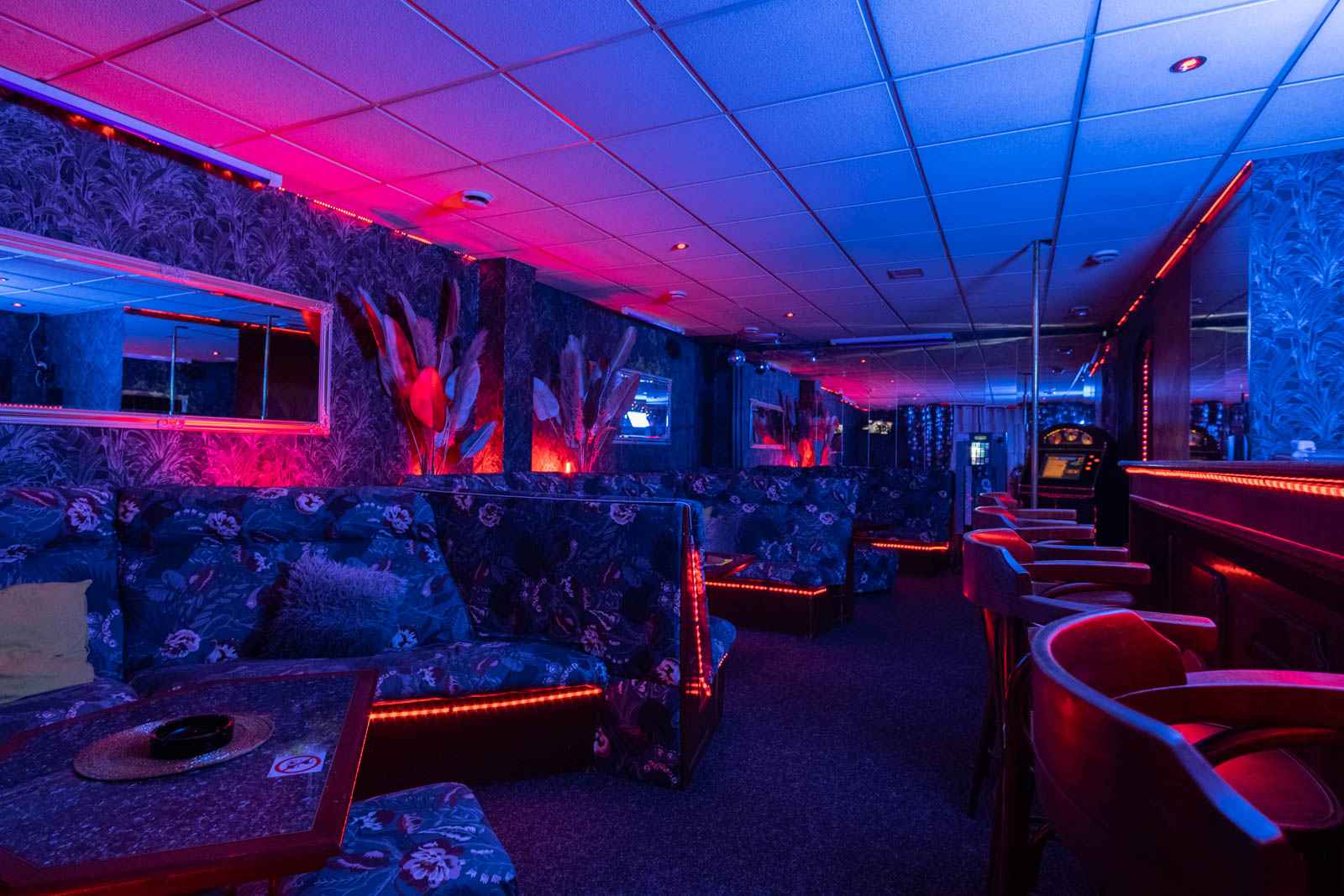 Night Club West foto 4