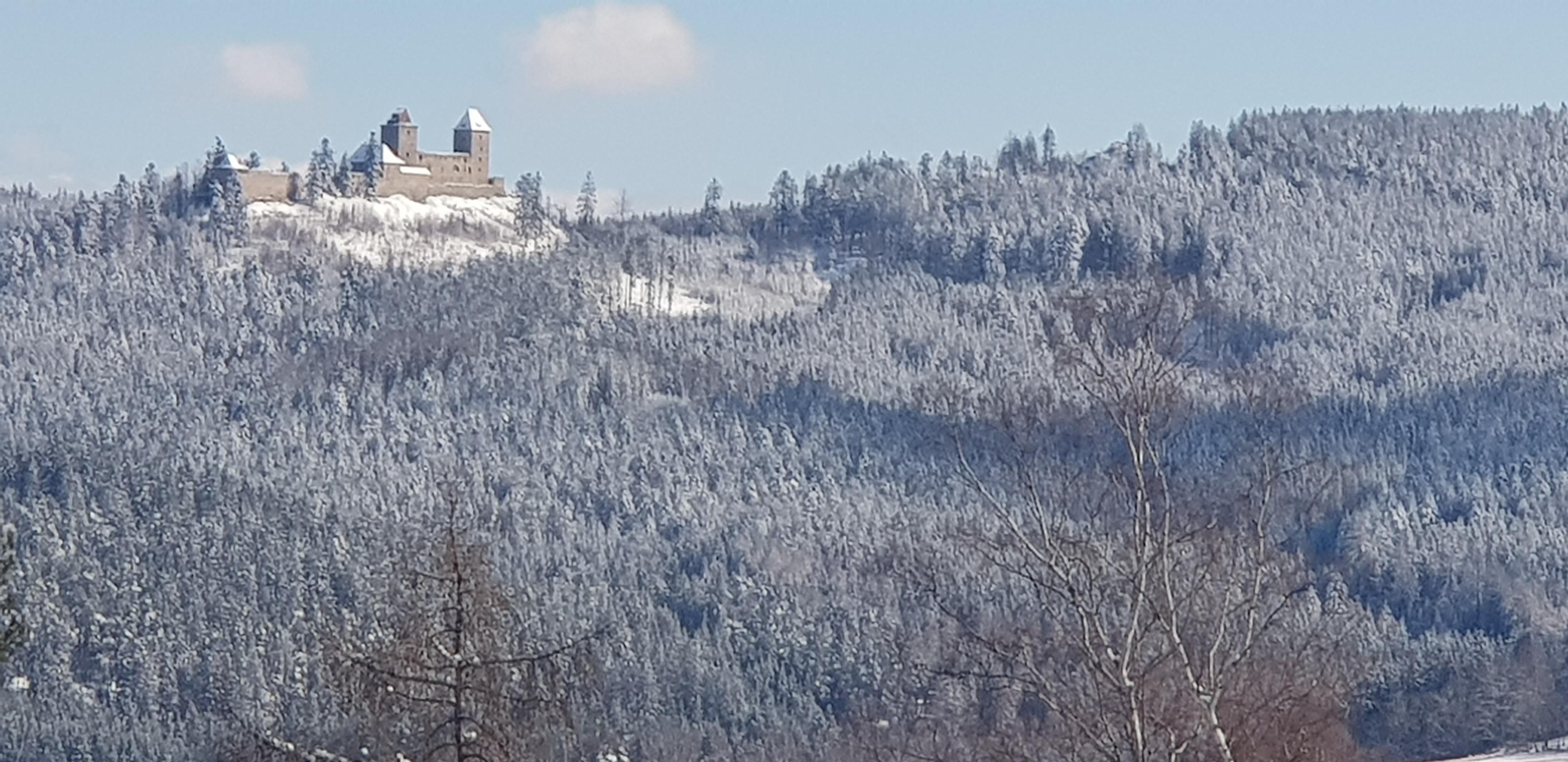 Apartmány Hortenzie foto 4