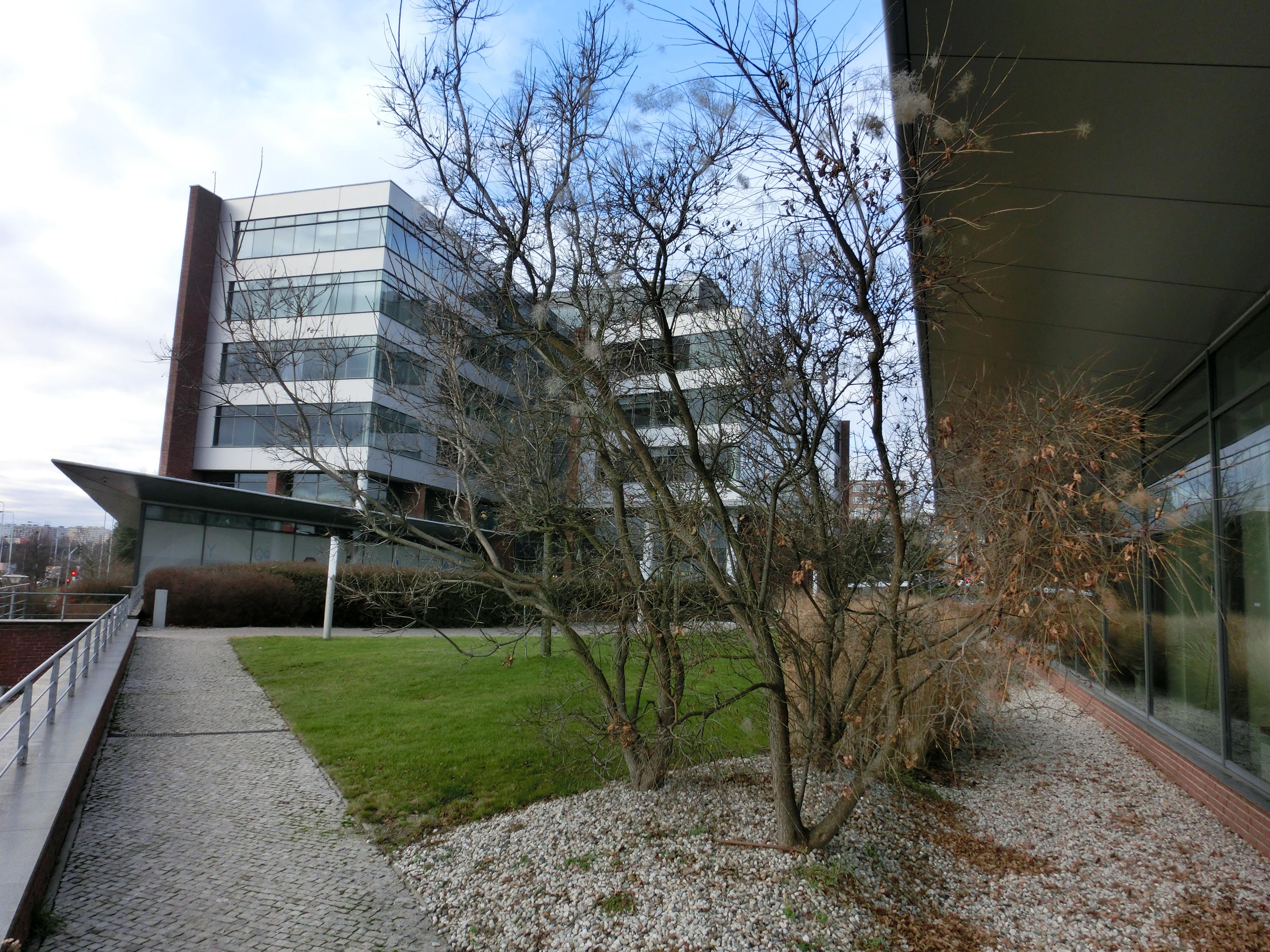 Coral Office Park A foto 4