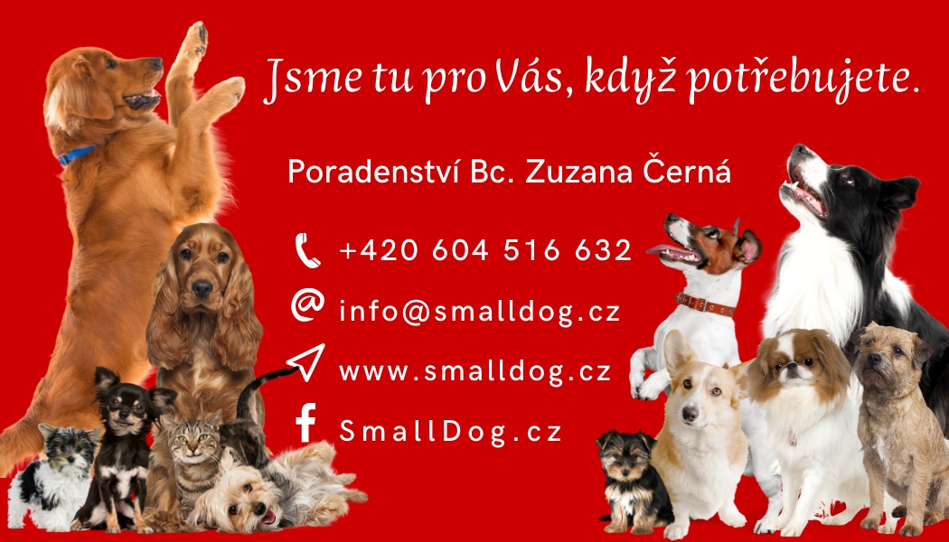 SmallDog.cz foto 5