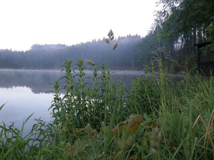Panský rybník foto 2