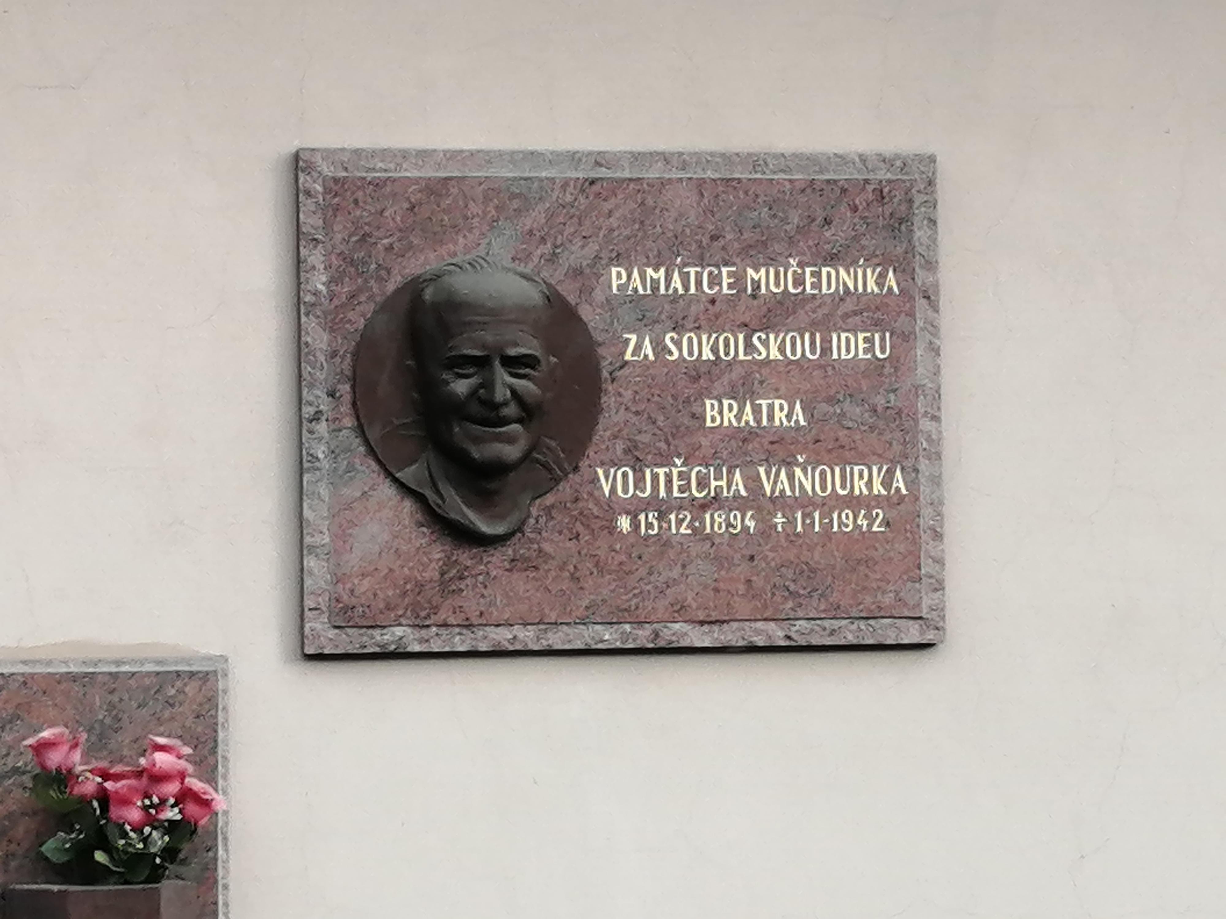 Tělocvičná jednota Sokol Náměšť na Hané foto 2