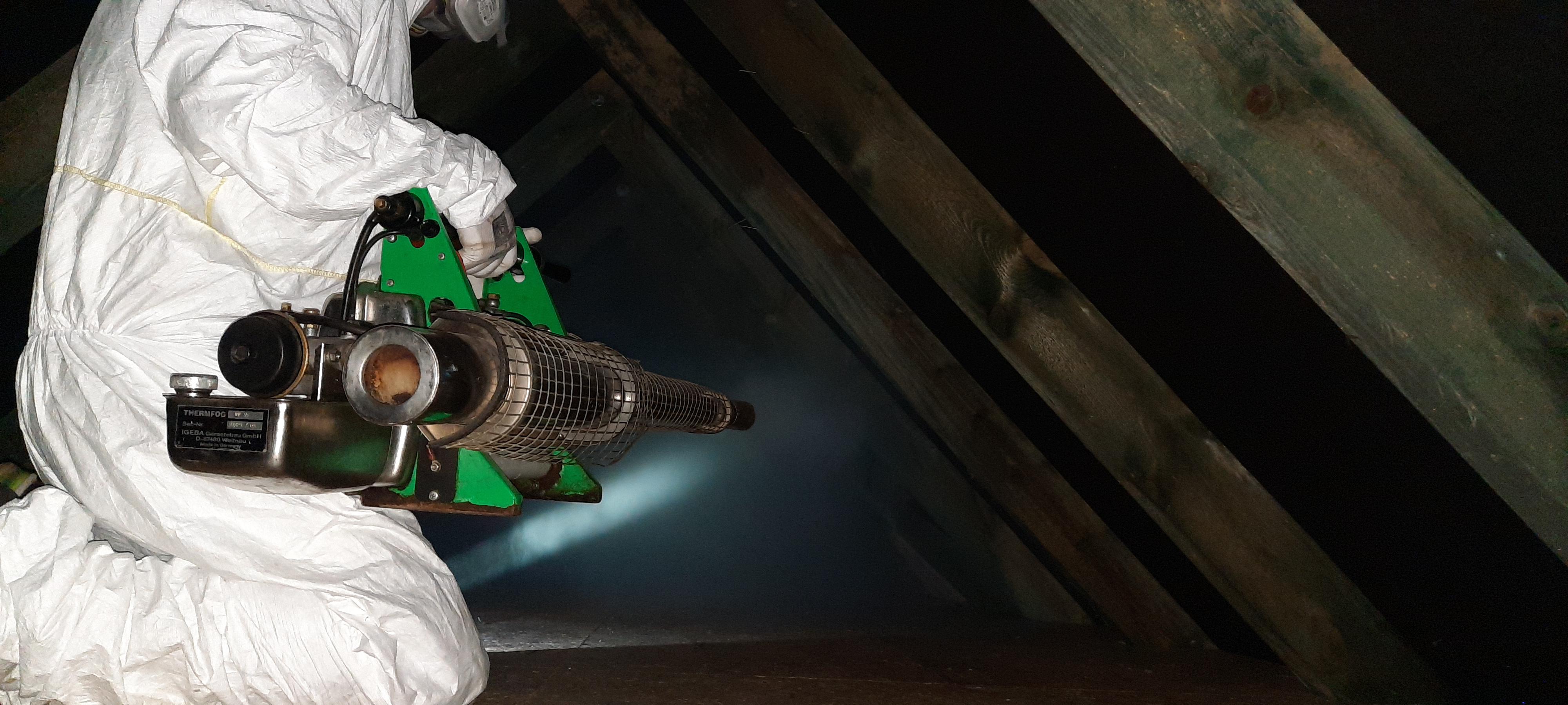 Daniel Gaňo - Vyklízení a dezinfekce bytu po zemřelém foto 6