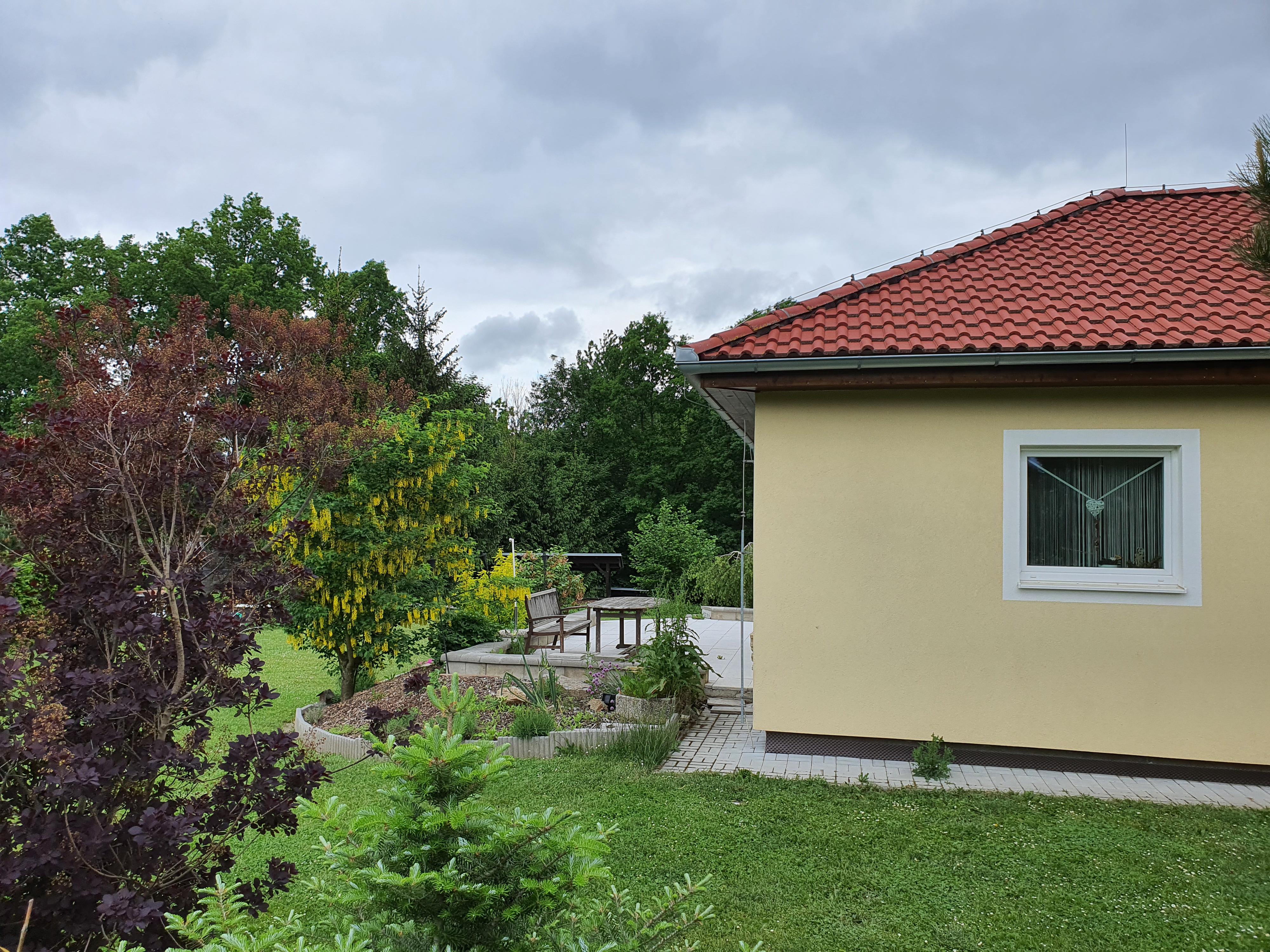 Bohdan Kříž  - Posečená zahrada foto 2