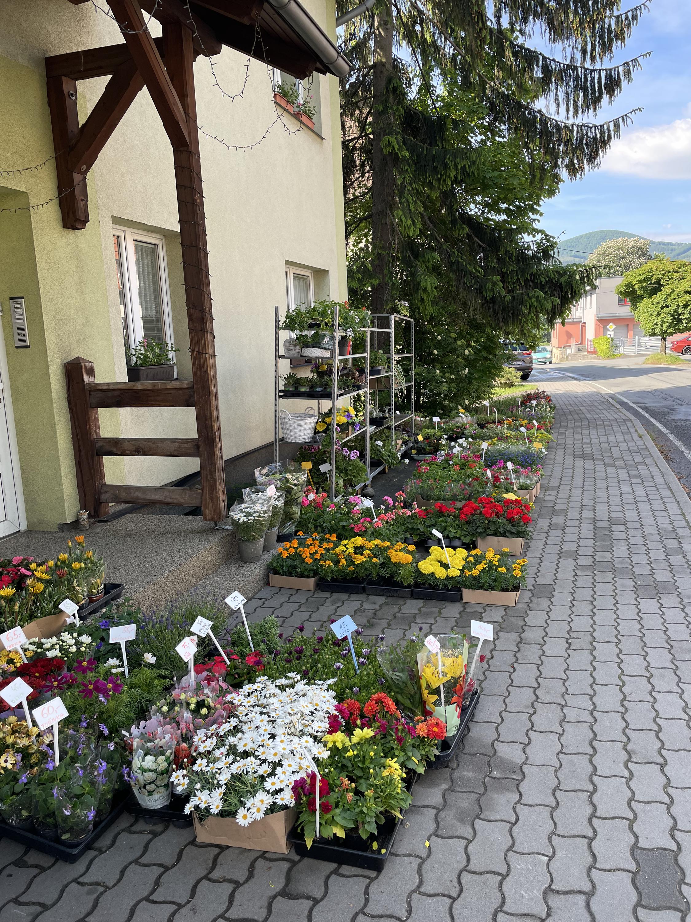 Květinářství, chovatelské a zahradnické potřeby foto 6