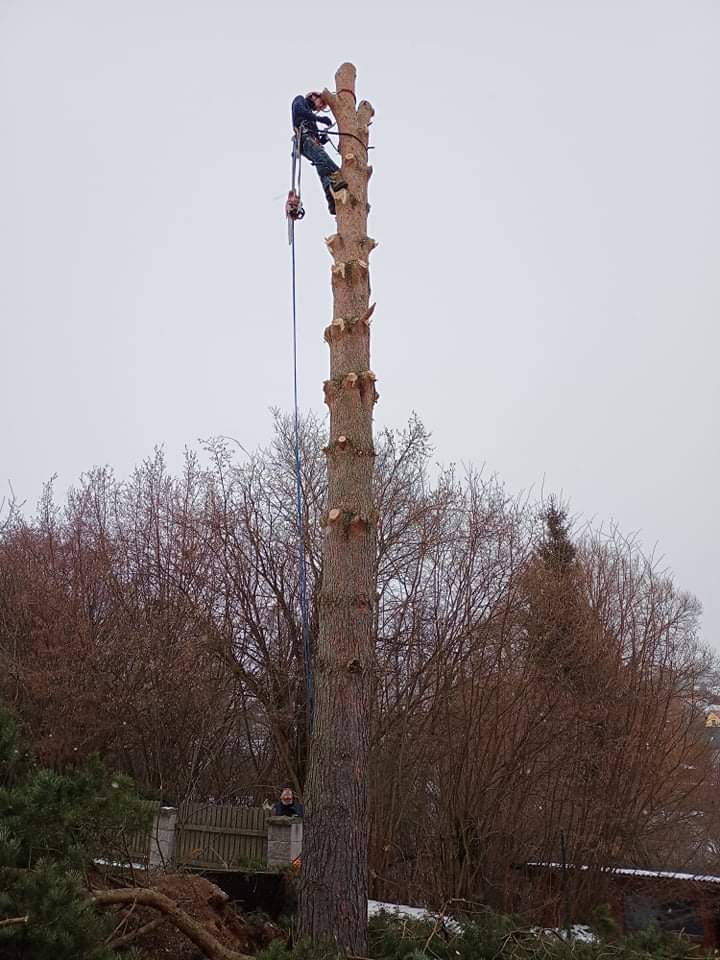 JH - výškové práce foto 2