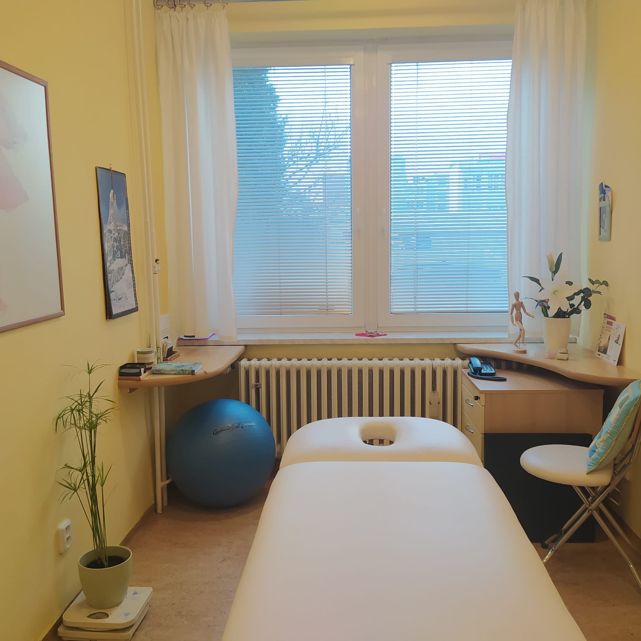 Zora Mertová - REHABILITACE foto 2