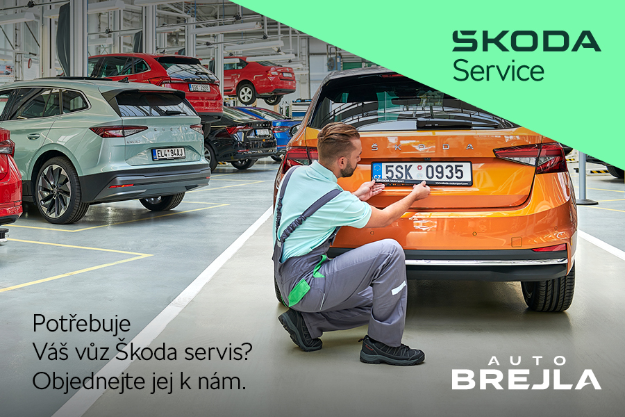 Potřebuje Váš vůz servis?