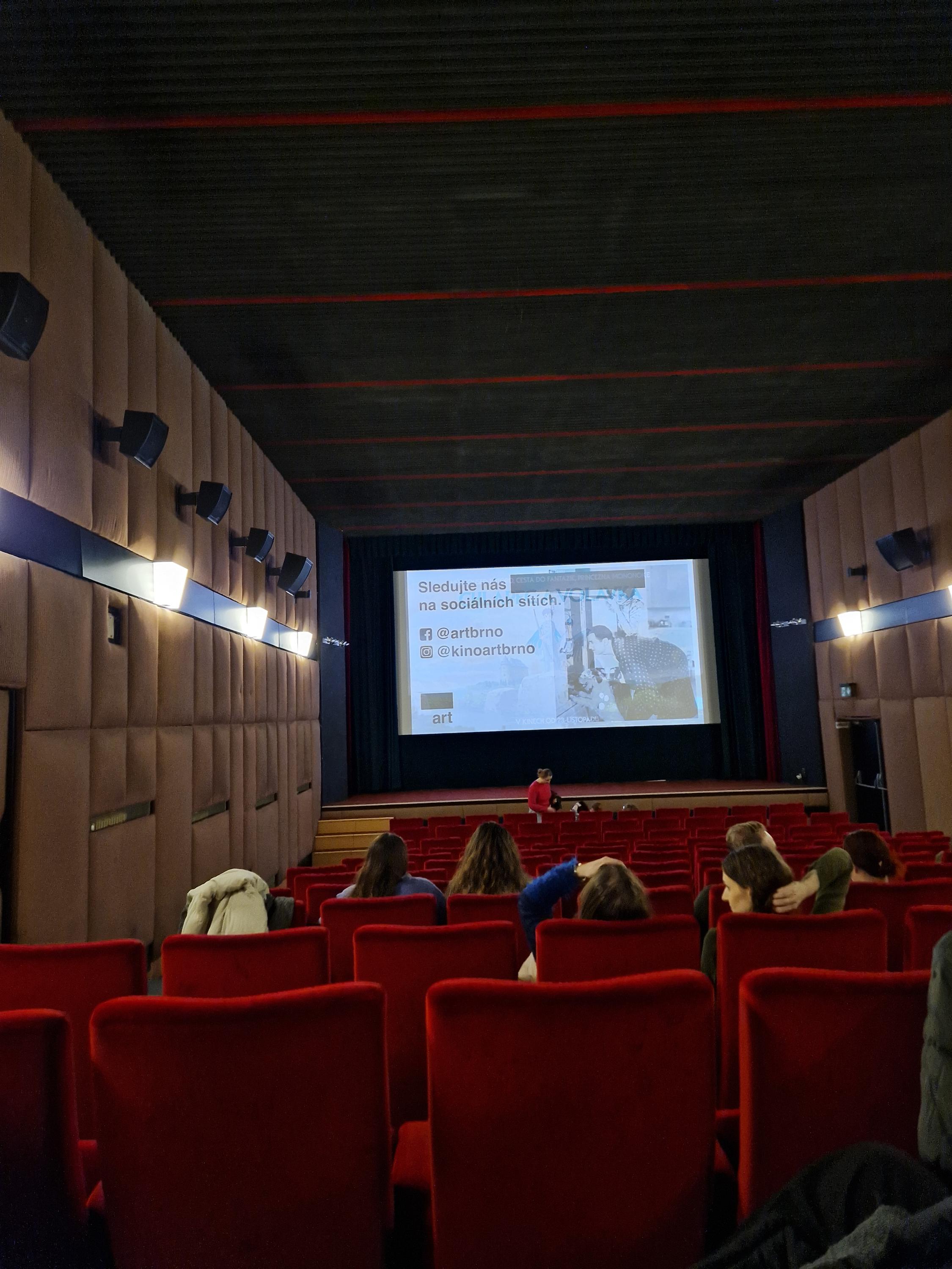 Kino Art foto 6