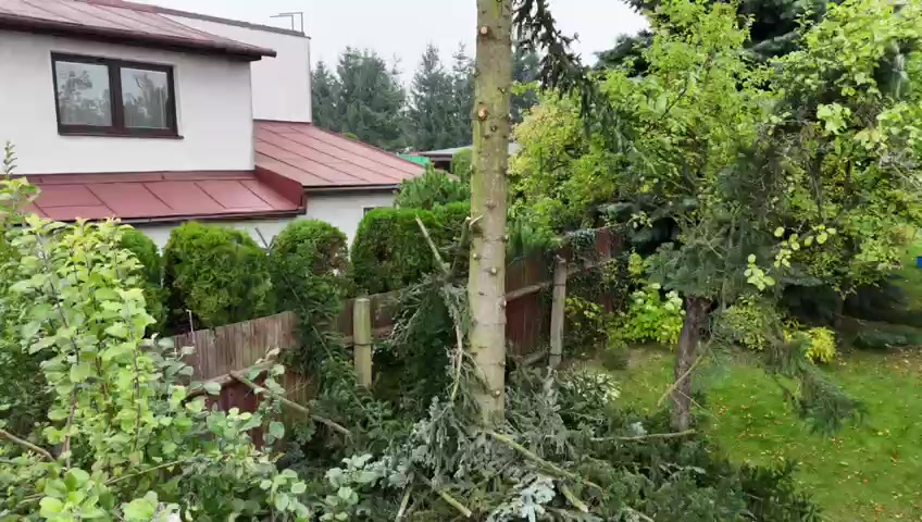 KOMPLEXARBO.cz - Adam Kříž foto 2 (náhled videa)