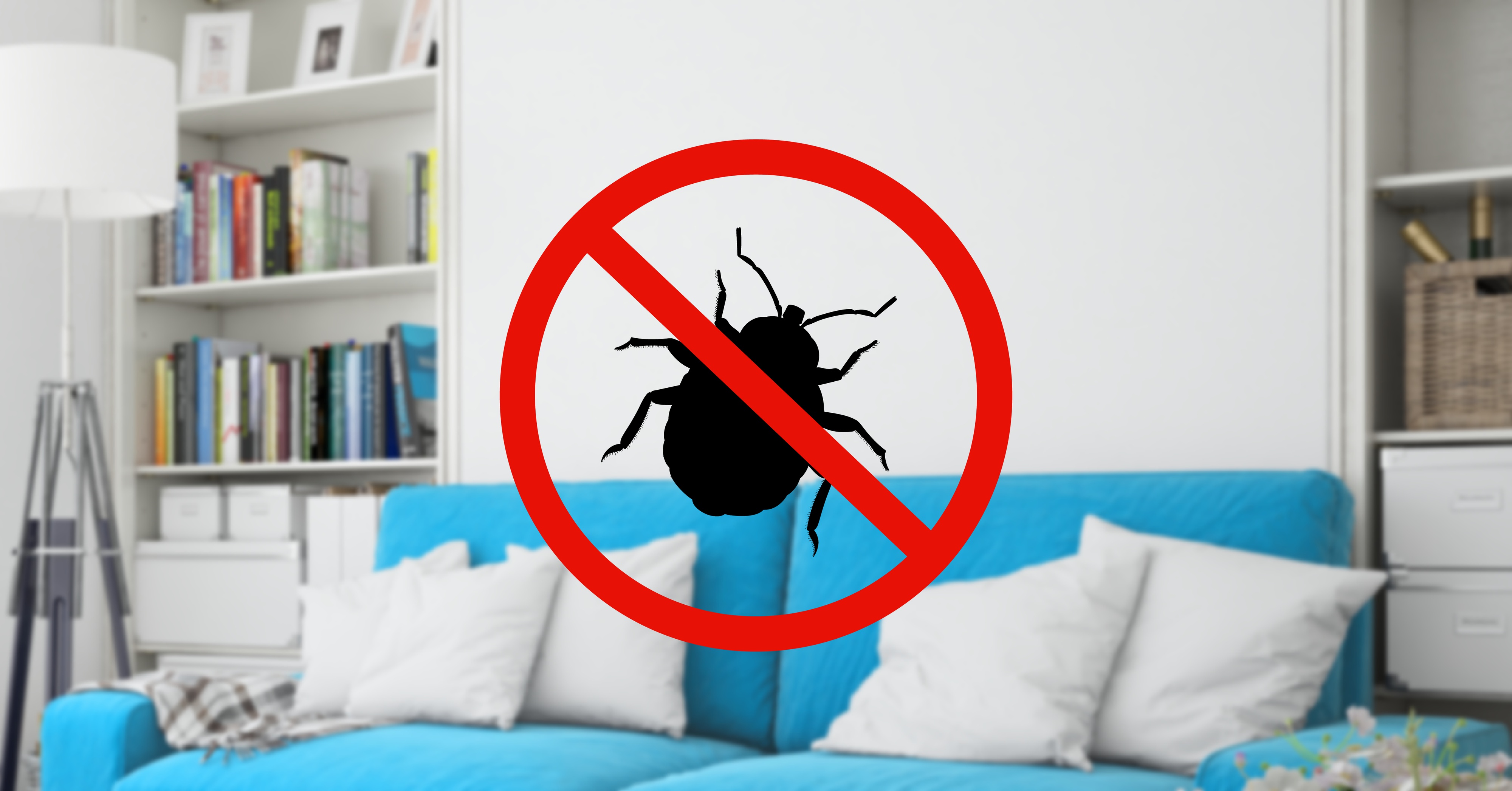 ZBAVSEJICH - deratizace a dezinsekce foto 3