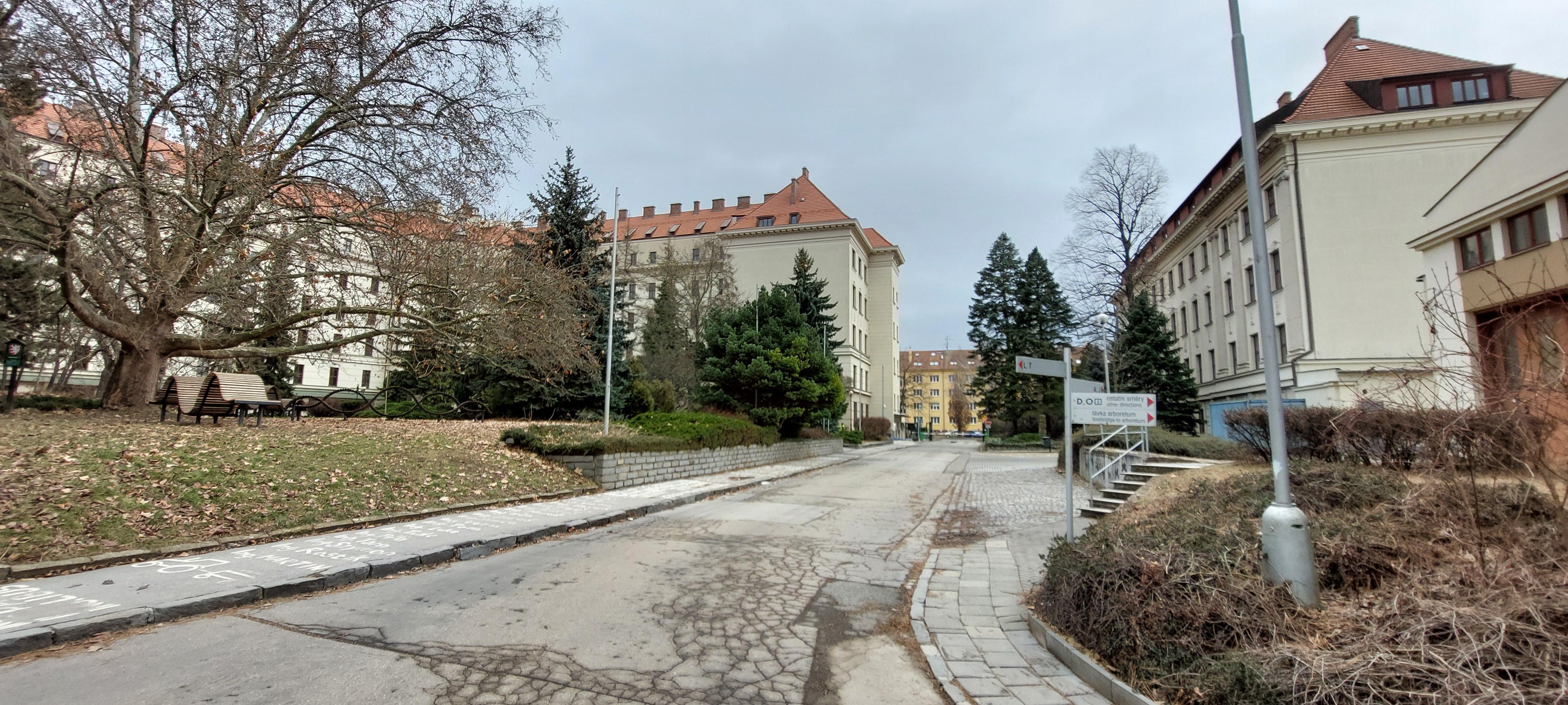 Mendelova univerzita v Brně - Ústav lesnické botaniky, dendrologie a geobiocenologie Lesnické a dřevařské fakulty foto 1