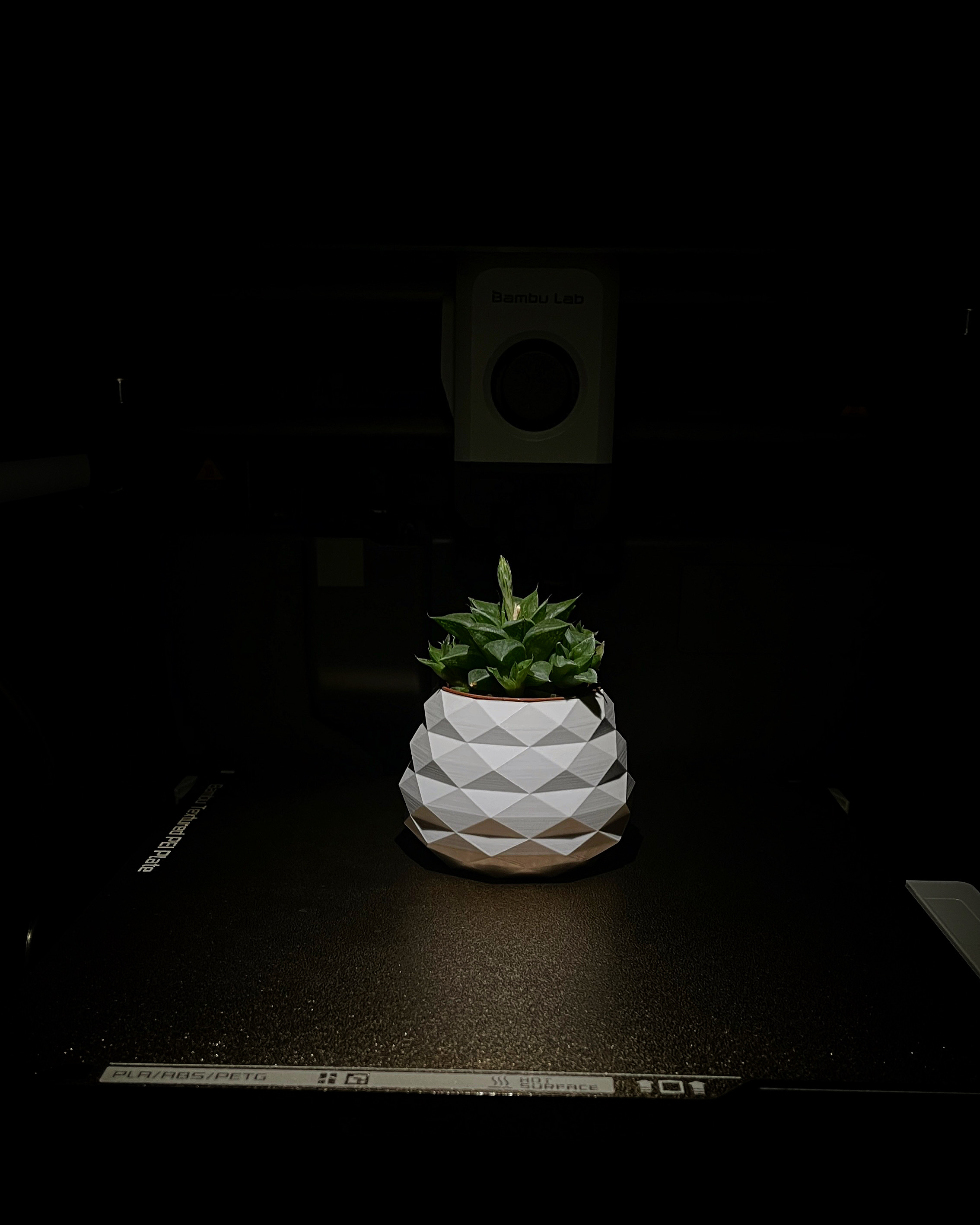 3D Style foto 2