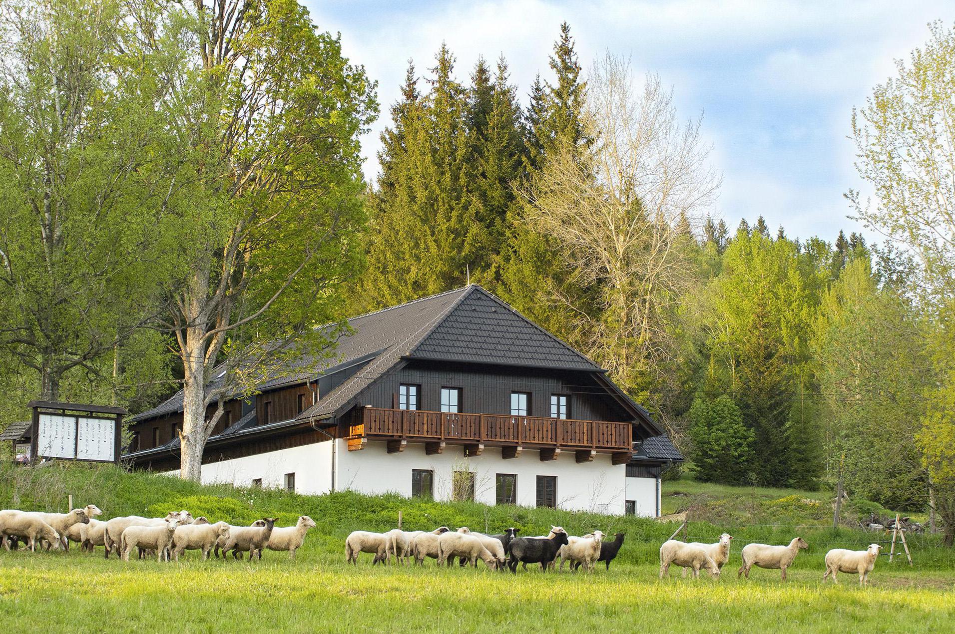 Restaurace Dvůr Lískový vrch