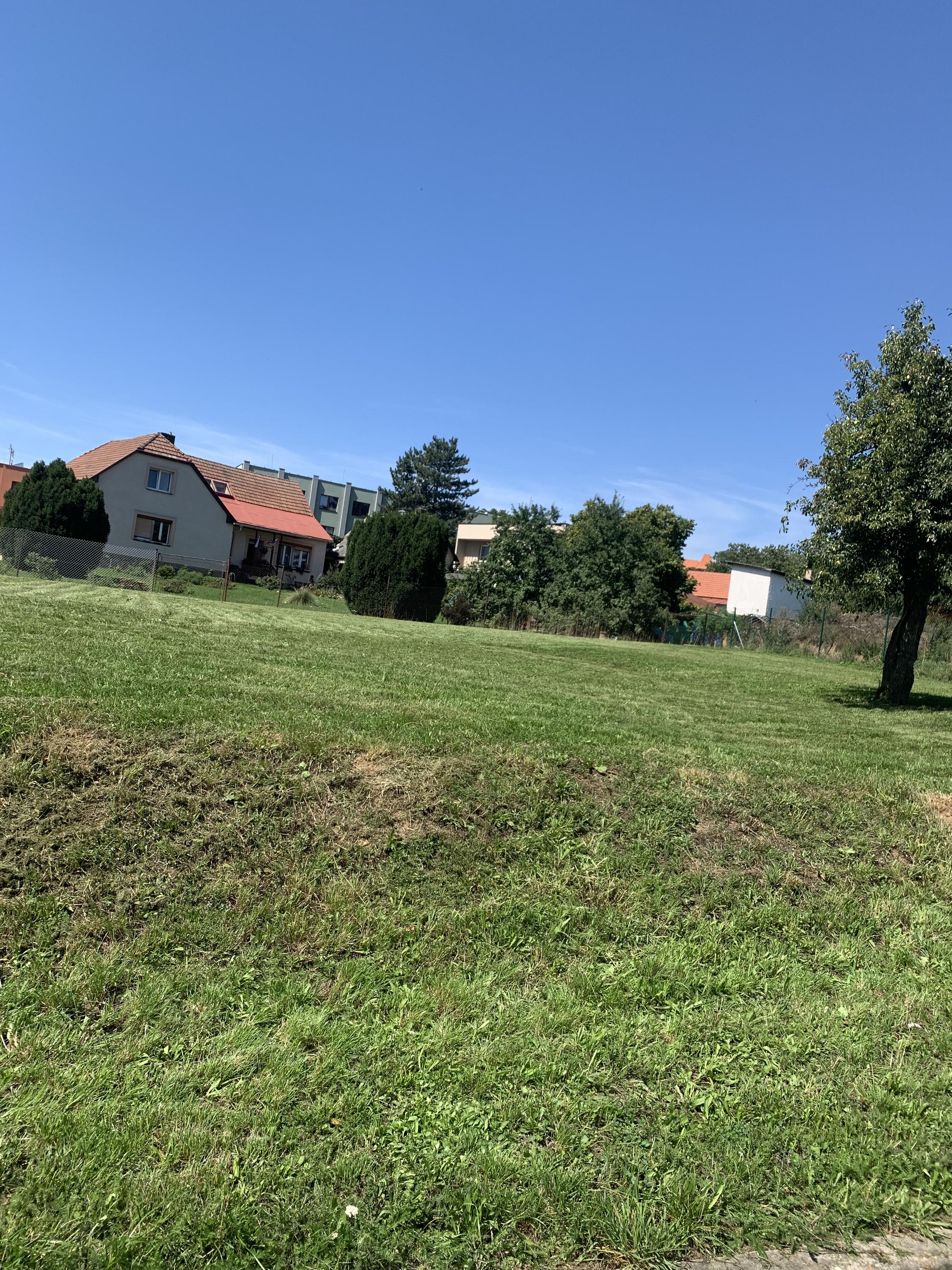 SEČEME s úsměvem foto 6