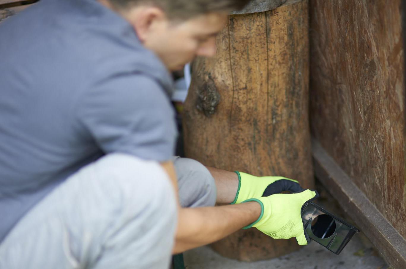 Deratizace/dezinsekce Jindřich Stránský foto 1