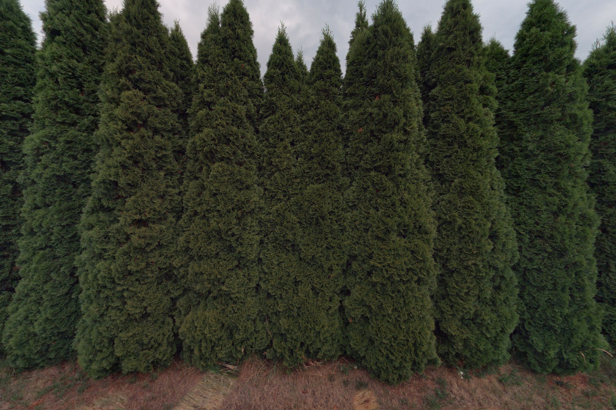 Mateřská škola Velké Březno