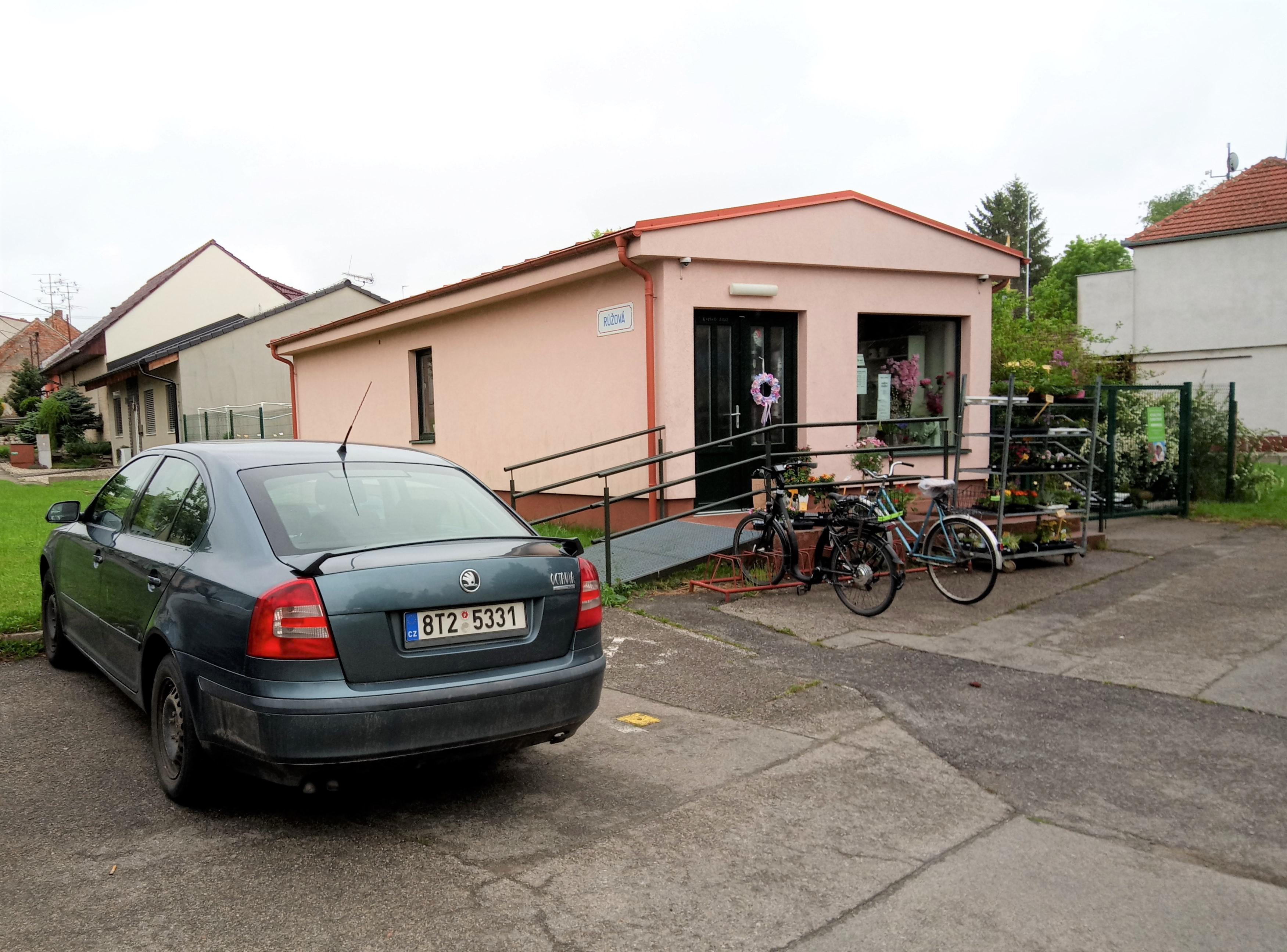 Jana Kopřivová - Květiny foto 6