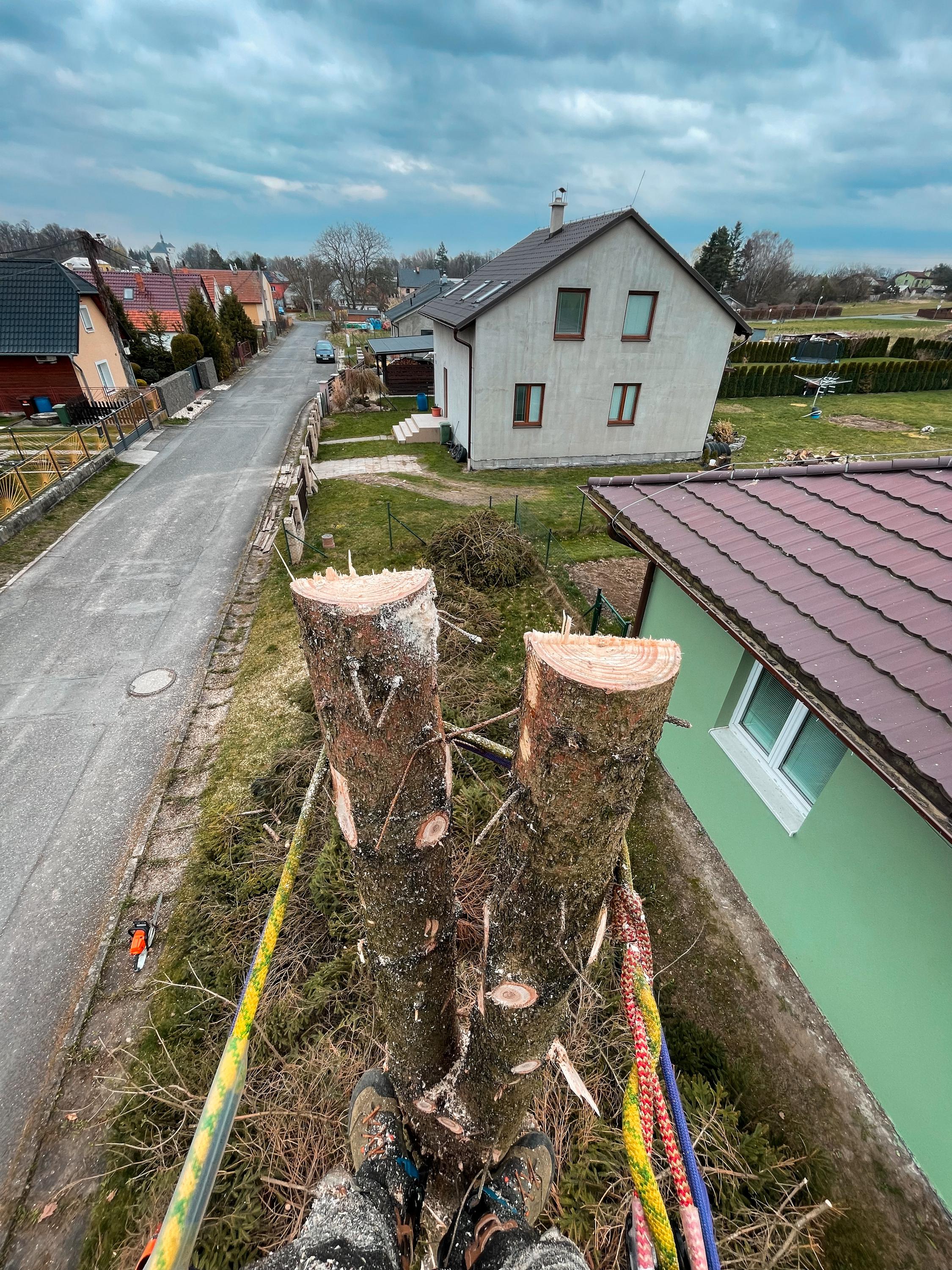 Etreestrvice - Rizikové kácení stromů foto 3