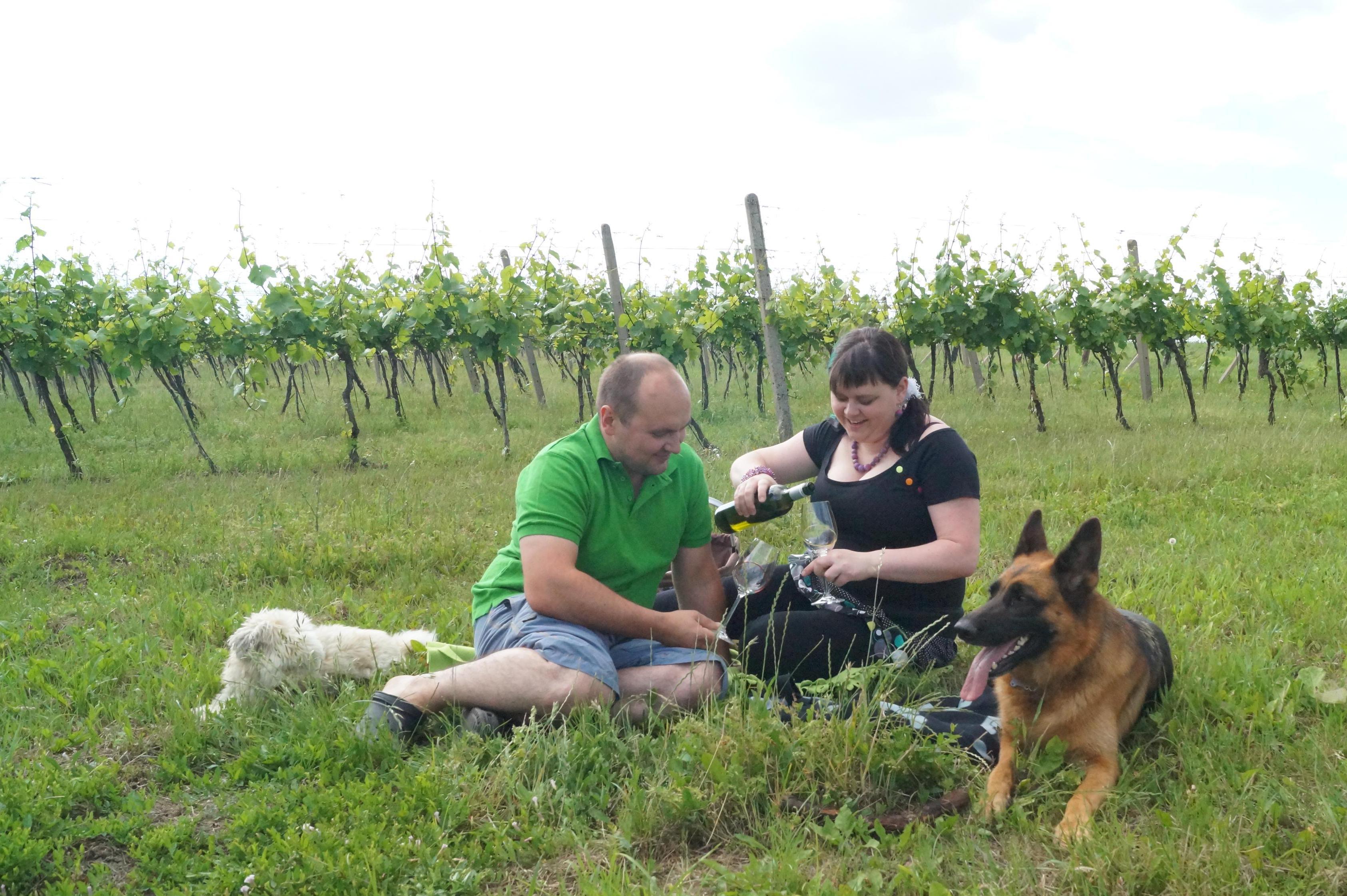 Vinný sklep U dvou zvířat