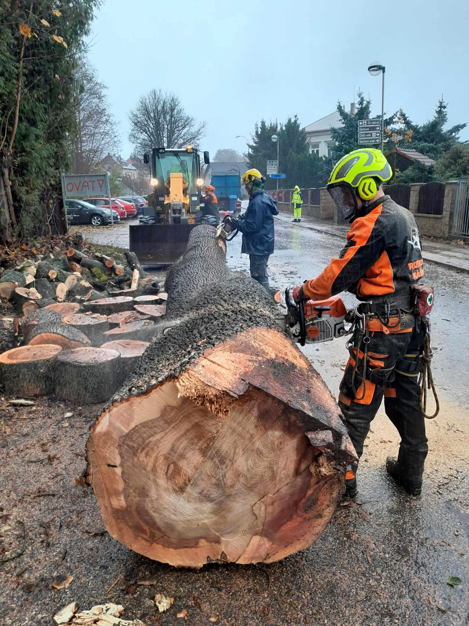 Rizikové kácení Čeřovský foto 6
