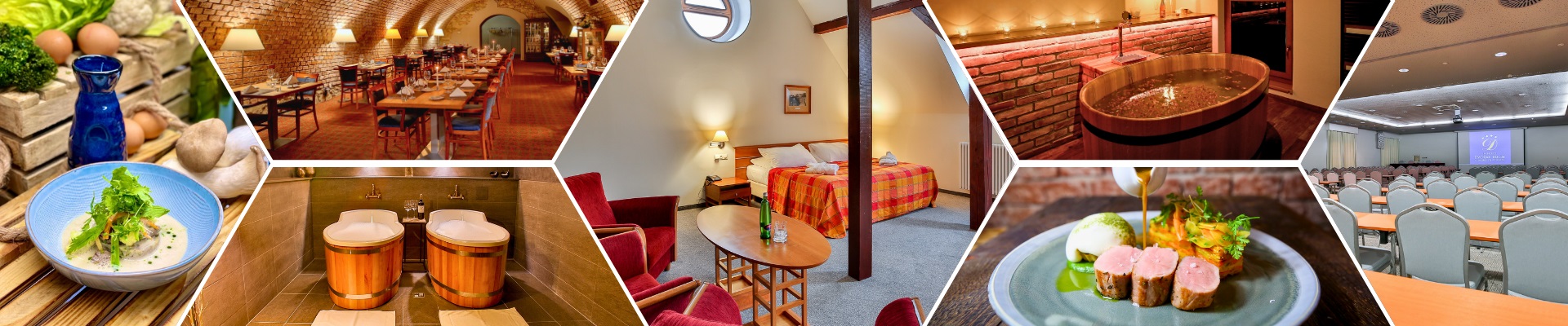 Úvodní obrázek LH Hotel Dvořák **** Tábor