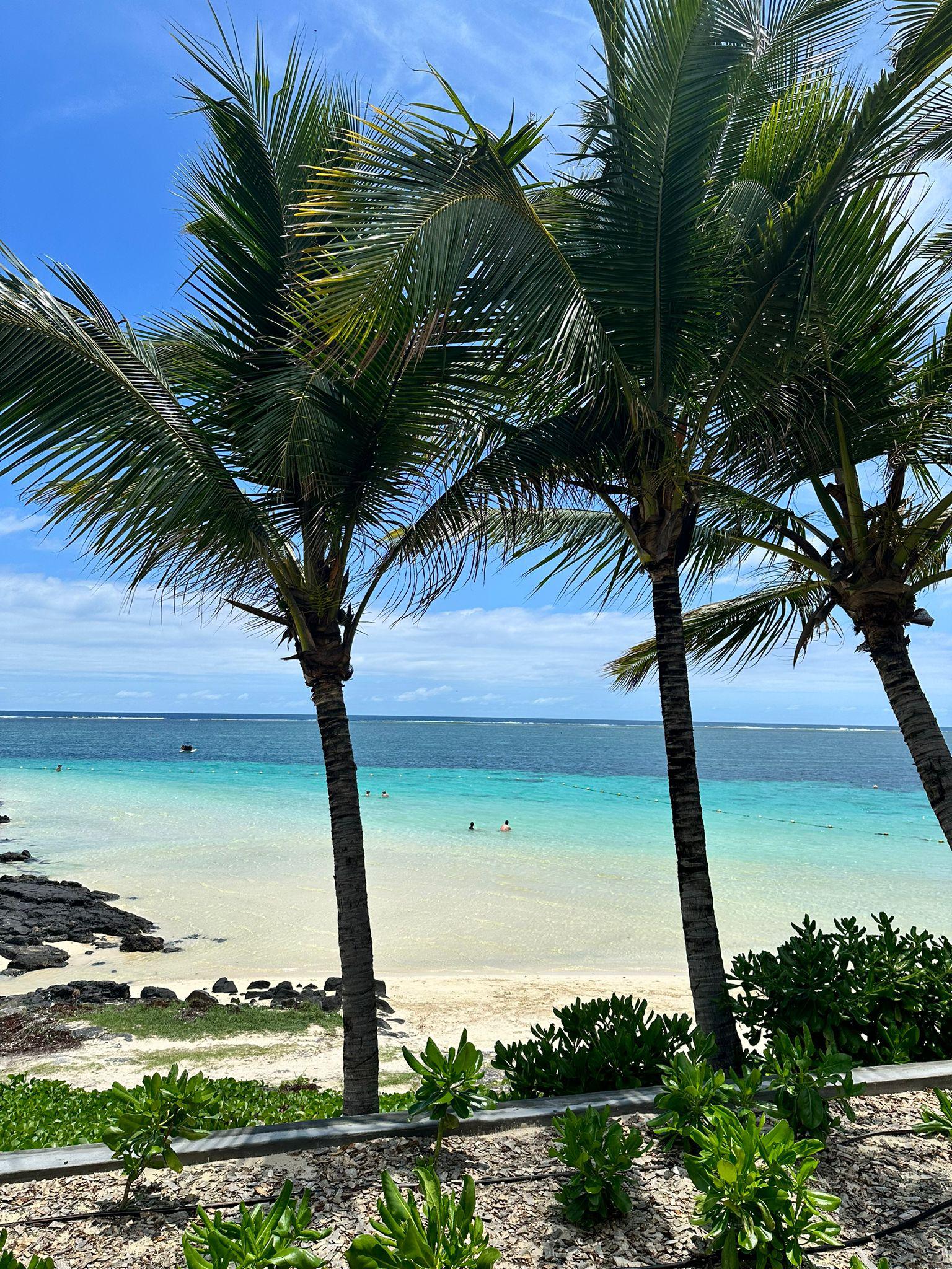 TIME TRAVEL CREATIVE TEAM foto 5