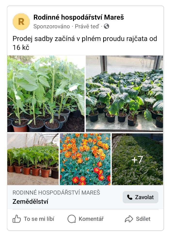 Rodinné hospodářství Mareš foto 3