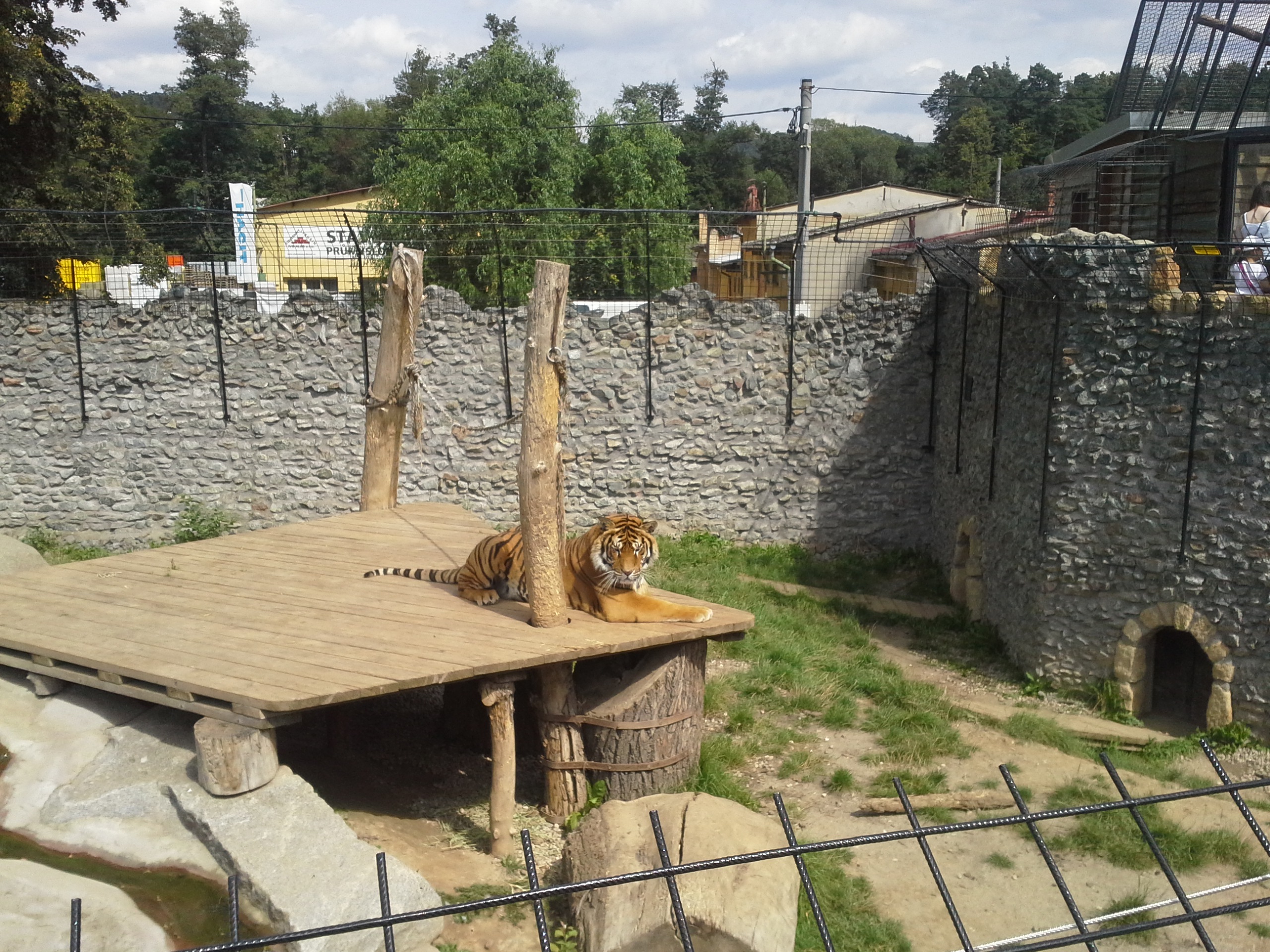 Zoo Plasy foto 3