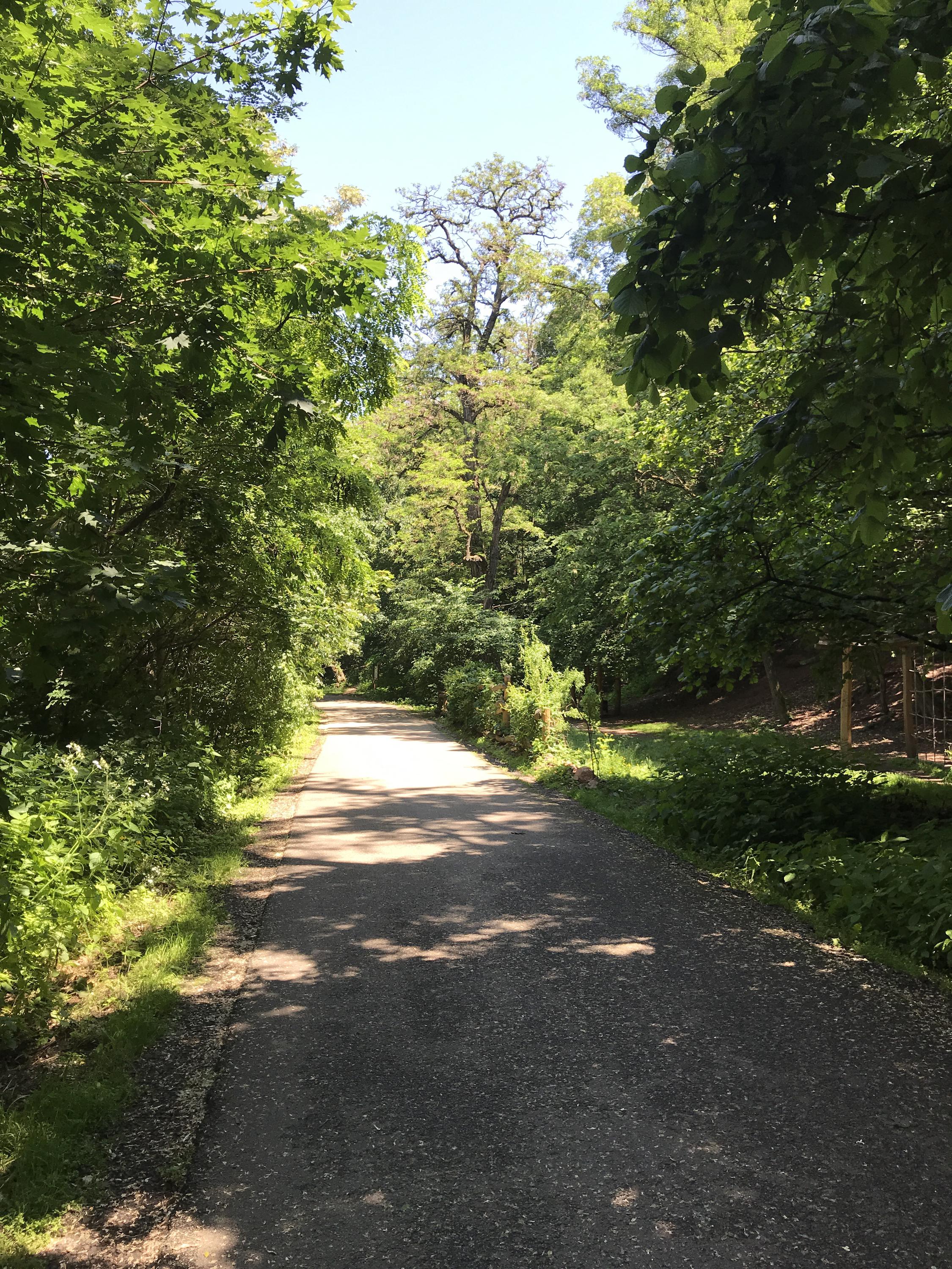 Dopravní hřiště Riviéra foto 3