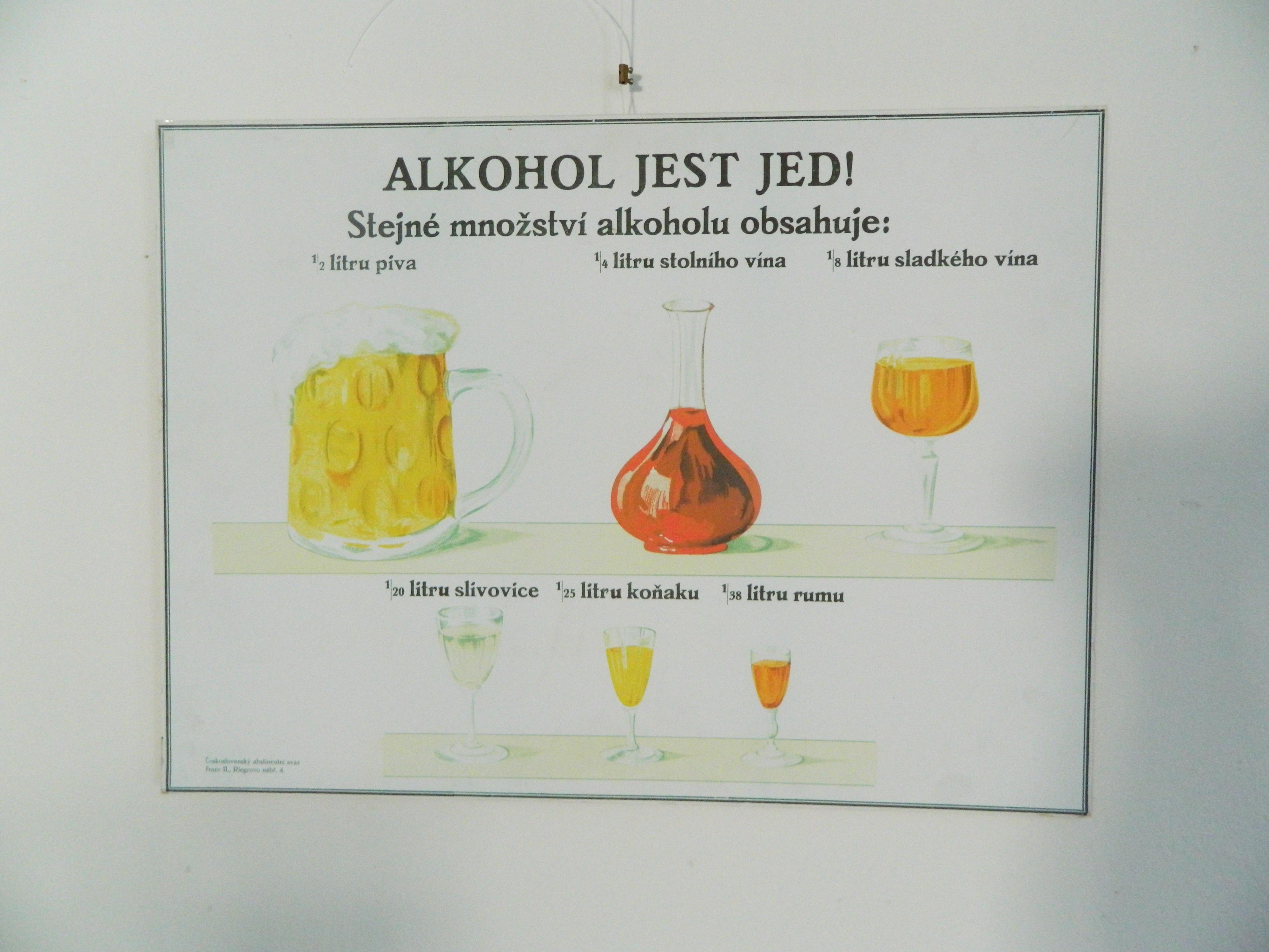 Muzeum Alice G. Masarykové a Českého červeného kříže foto 5