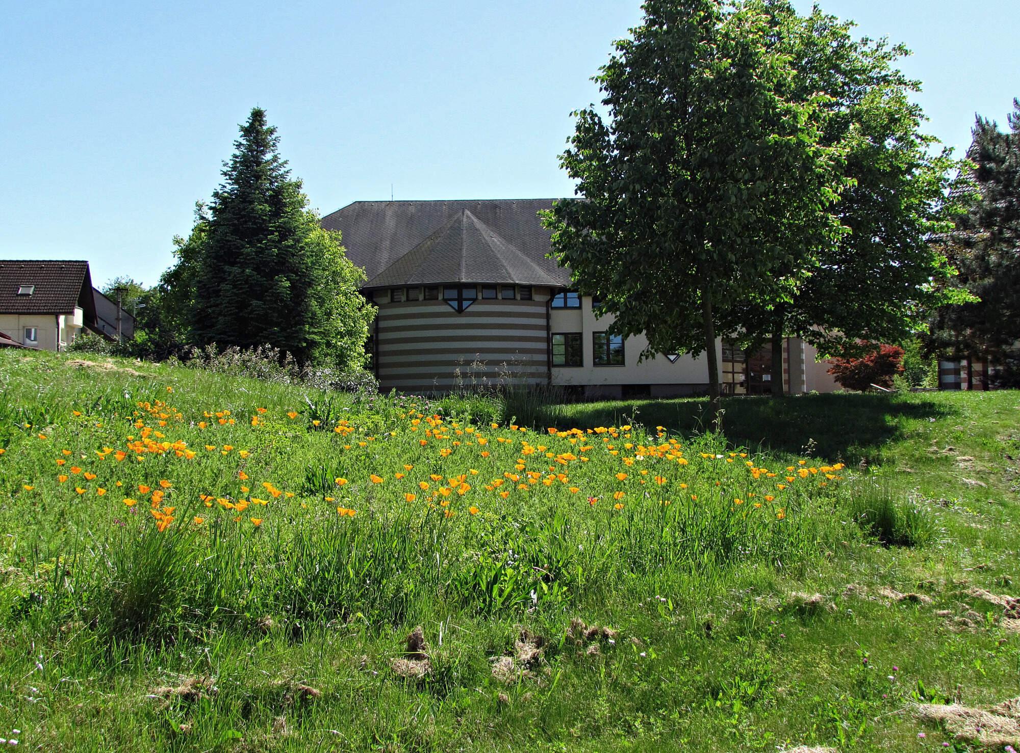 Sbor Církve adventistů sedmého dne Zlín - modlitebna foto 2