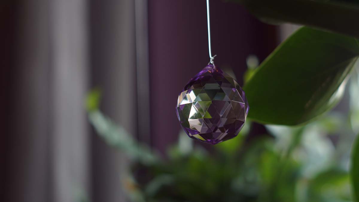 EFT terapie, numerologie a výklad karet - Lea Kotková foto 3