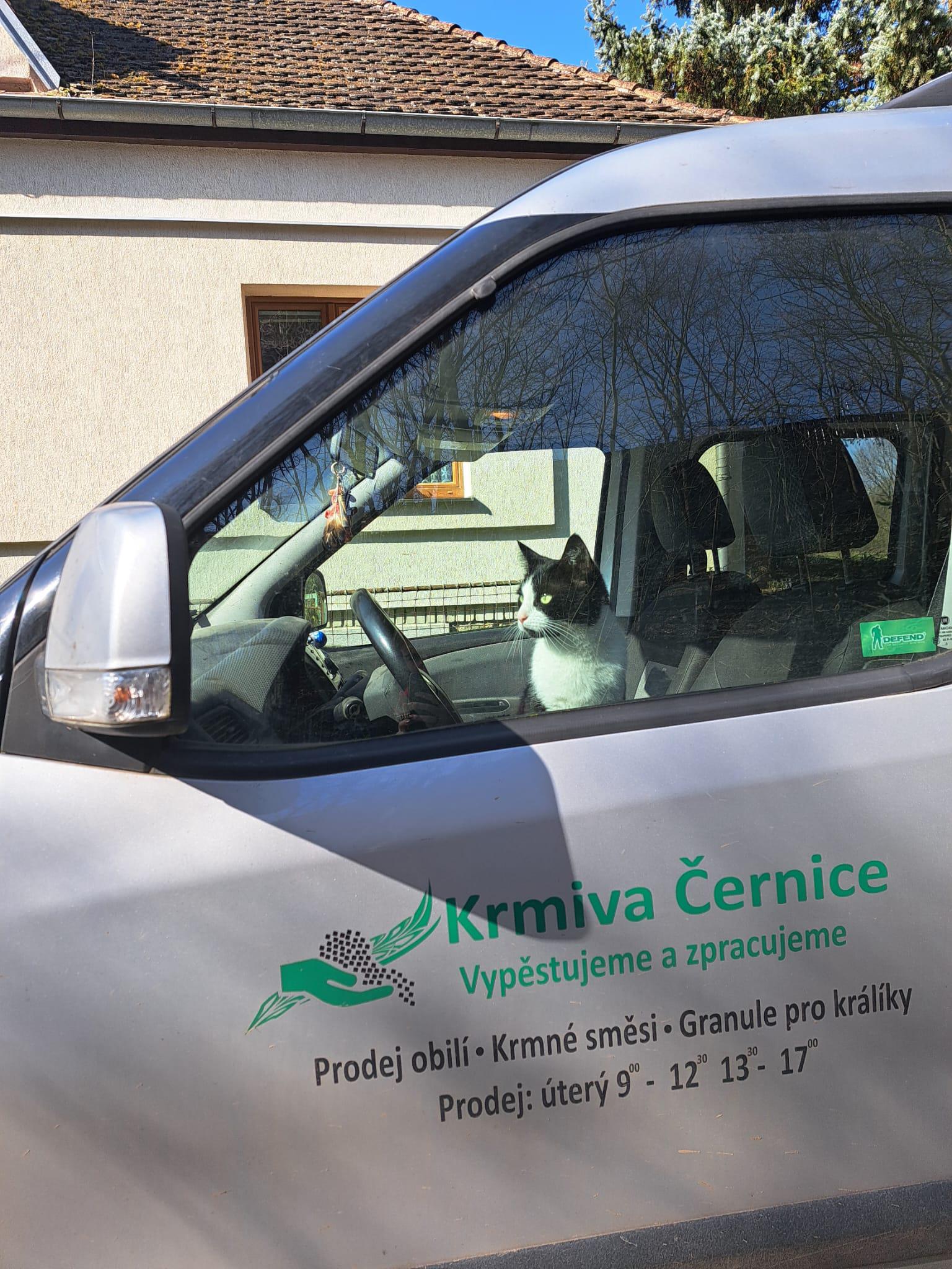 Krmiva Černice foto 4