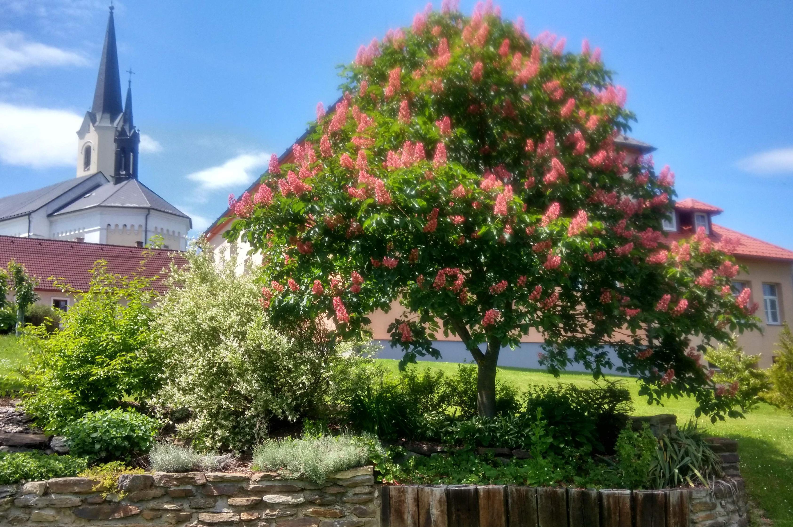 Návrhy zahrad Renata Lubasová