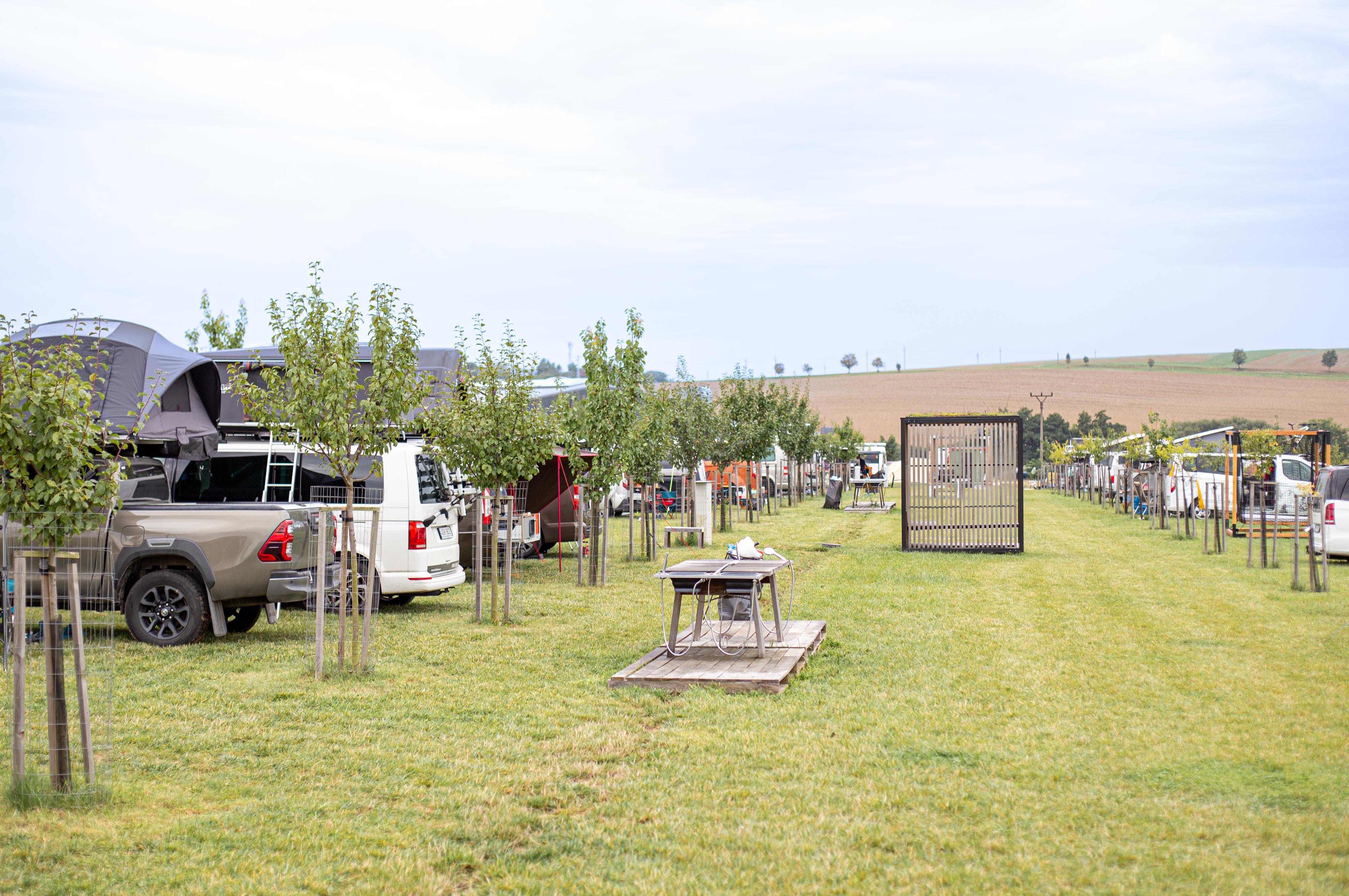 POLE DESIGNU - Kempus na poli