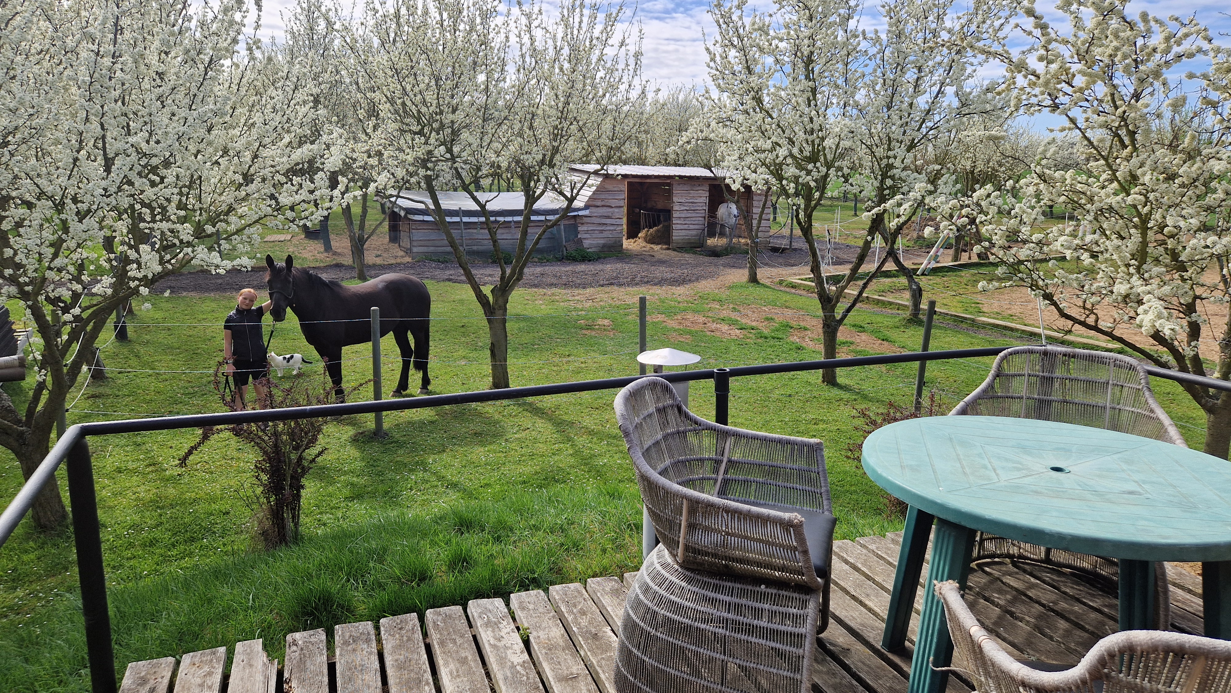 Rybaření Rpety-Hatě - ubytování foto 3