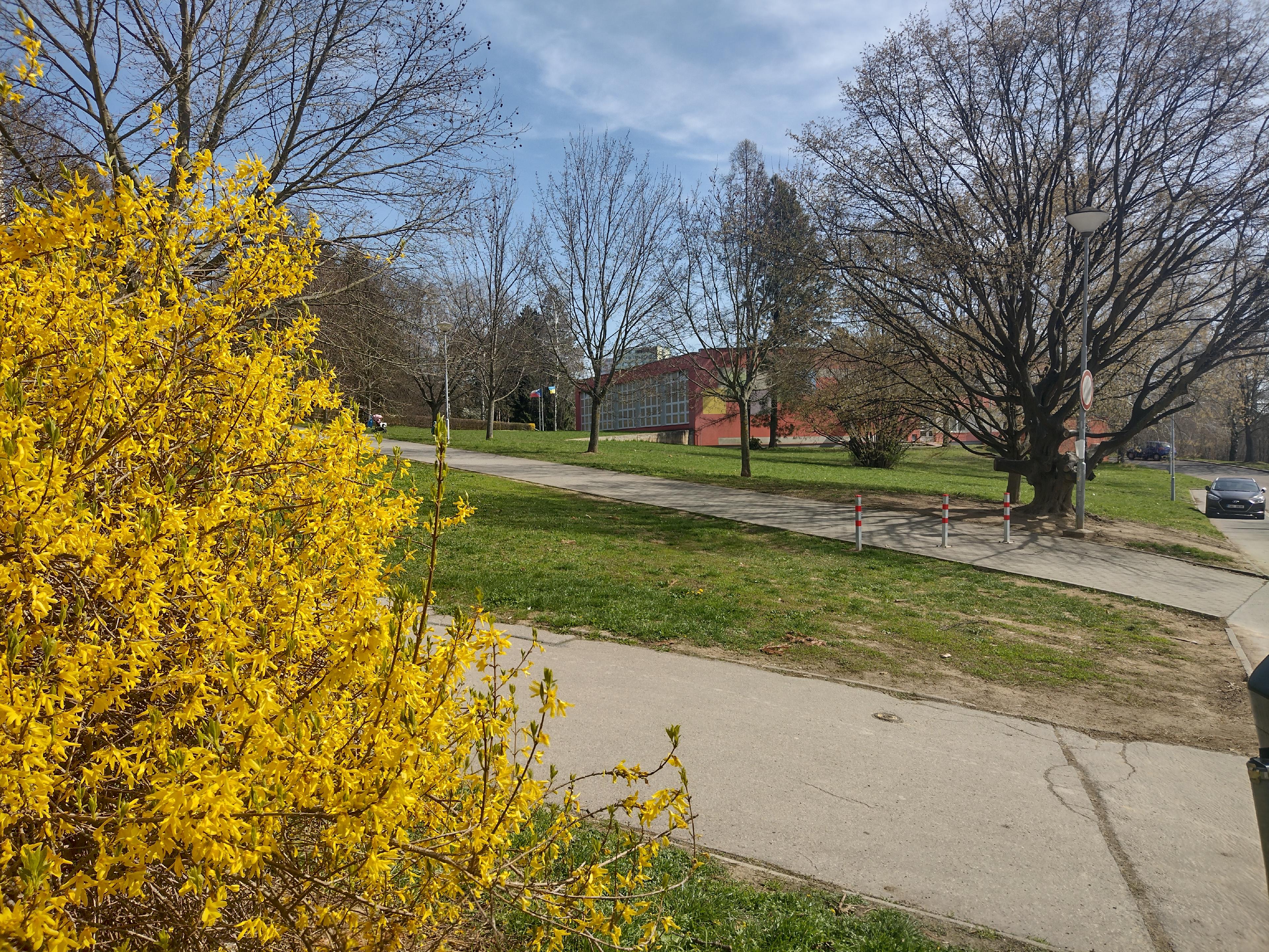 ZŠ a MŠ Brno, Milénova foto 1