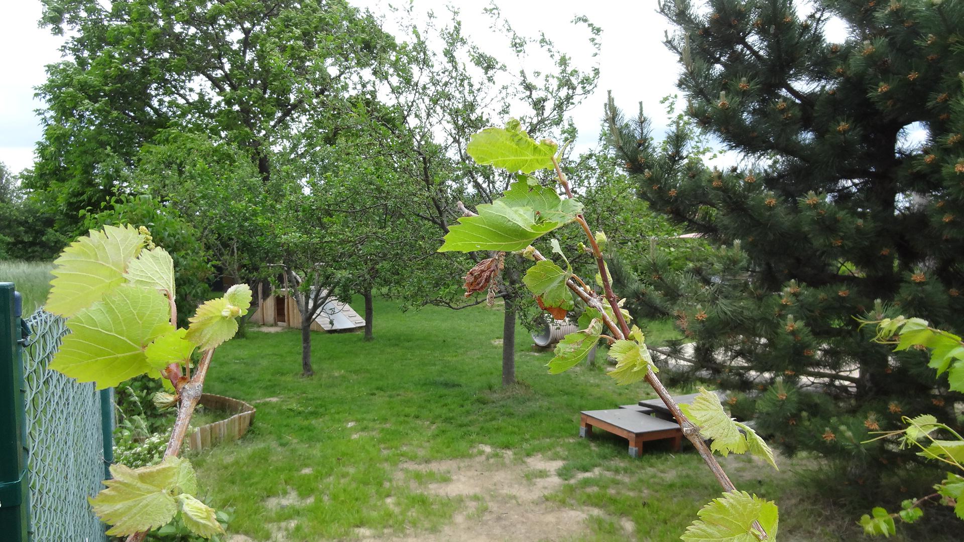 Montessori mateřská škola Semínko Brno, s.r.o. foto 4