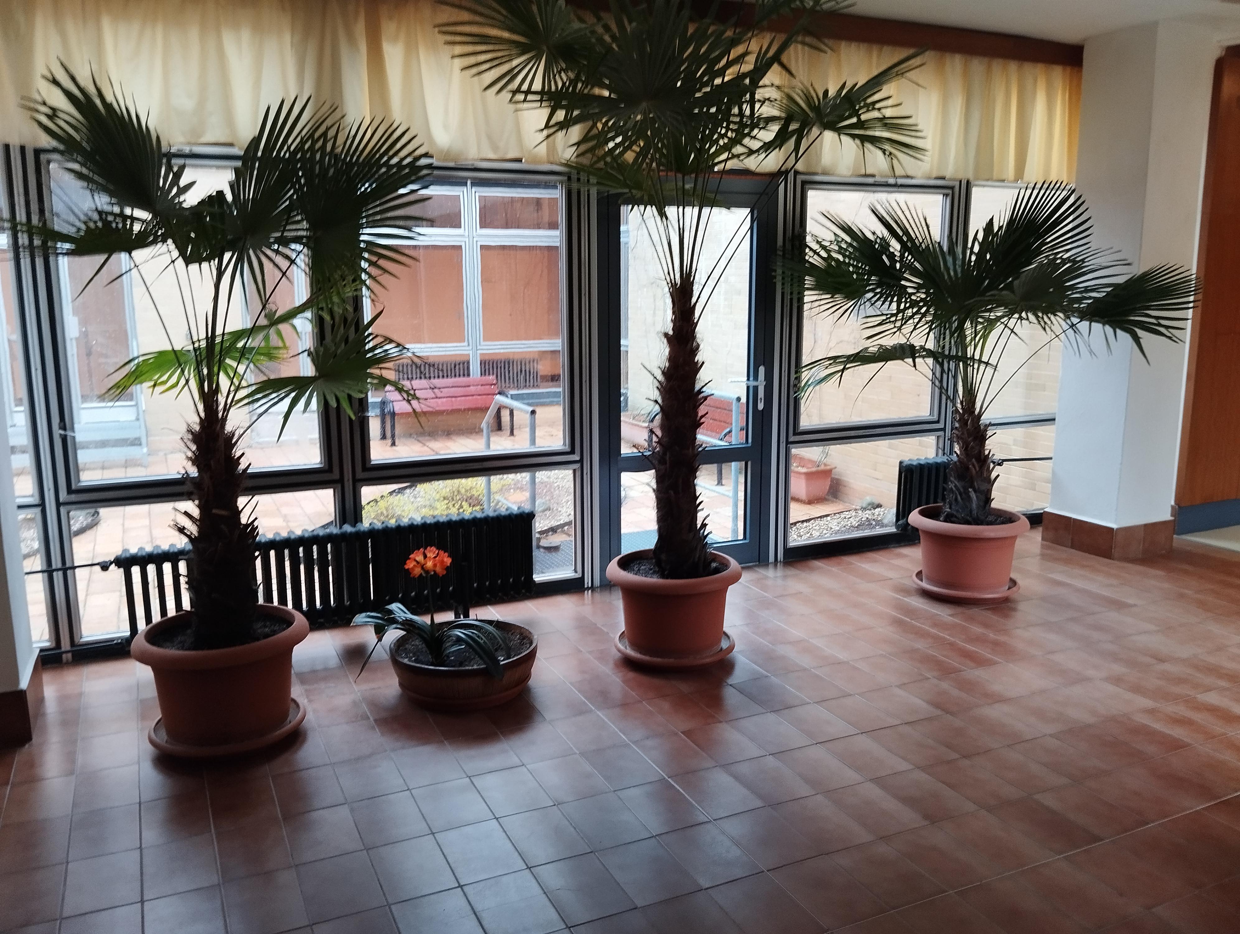 Centrální lázně - Lázně Luhačovice foto 4