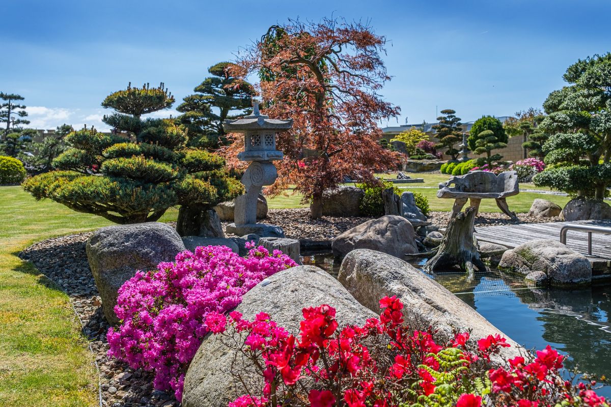 BIG BONSAI CENTRUM (Babice)  Firmy.cz