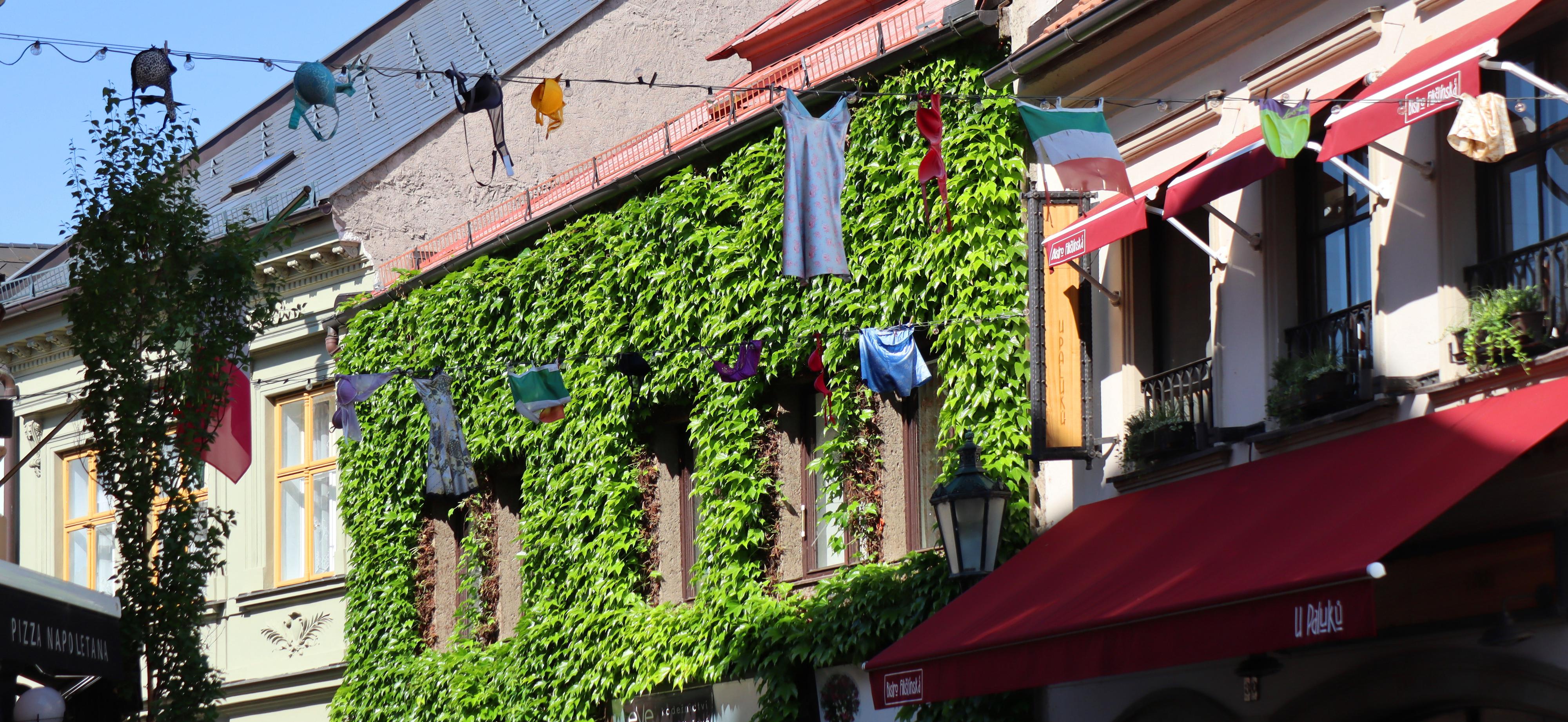 Bistro Filištínská foto 4