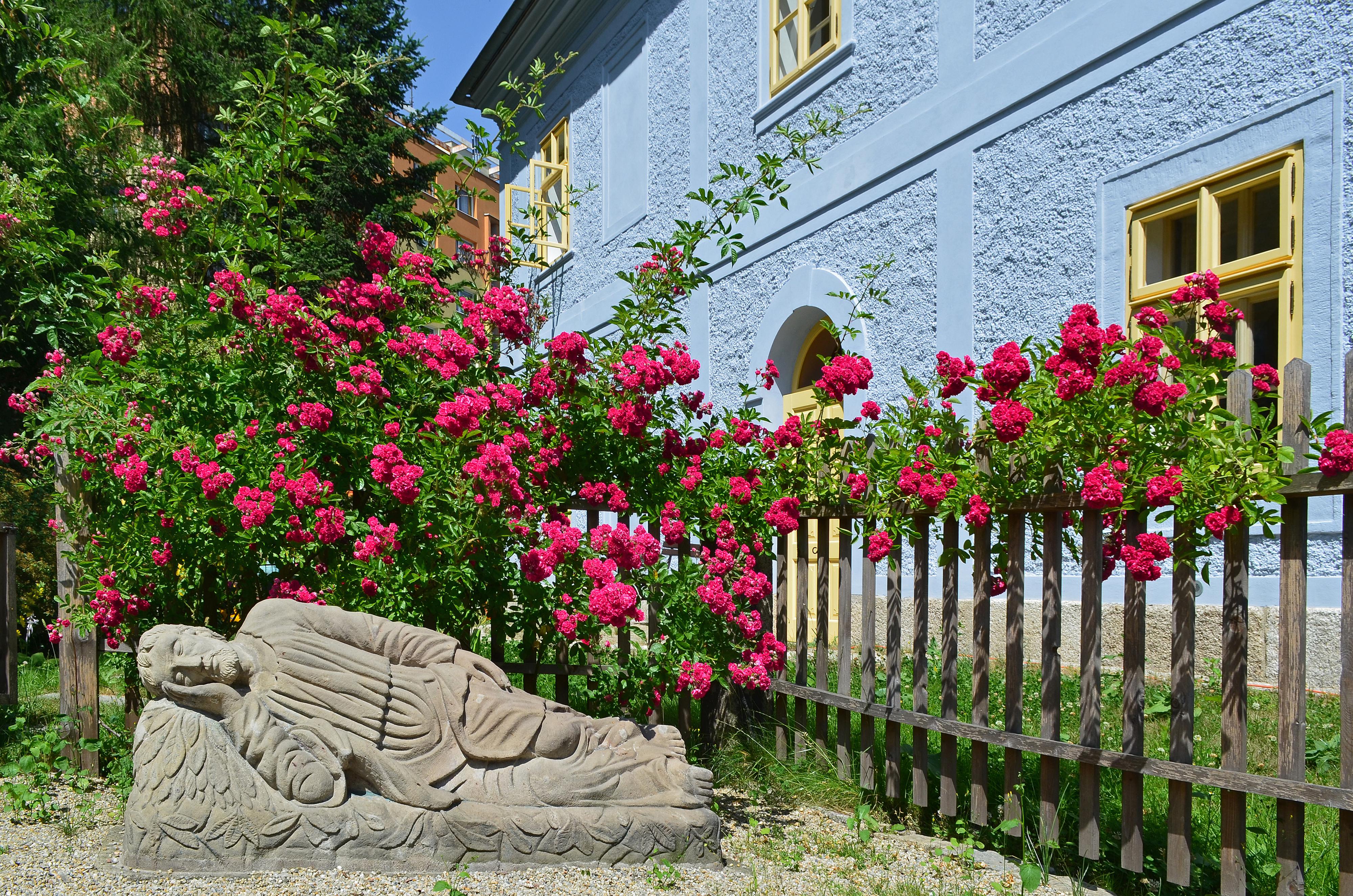 Dům Jany a Josefa V. Scheybalových foto 3