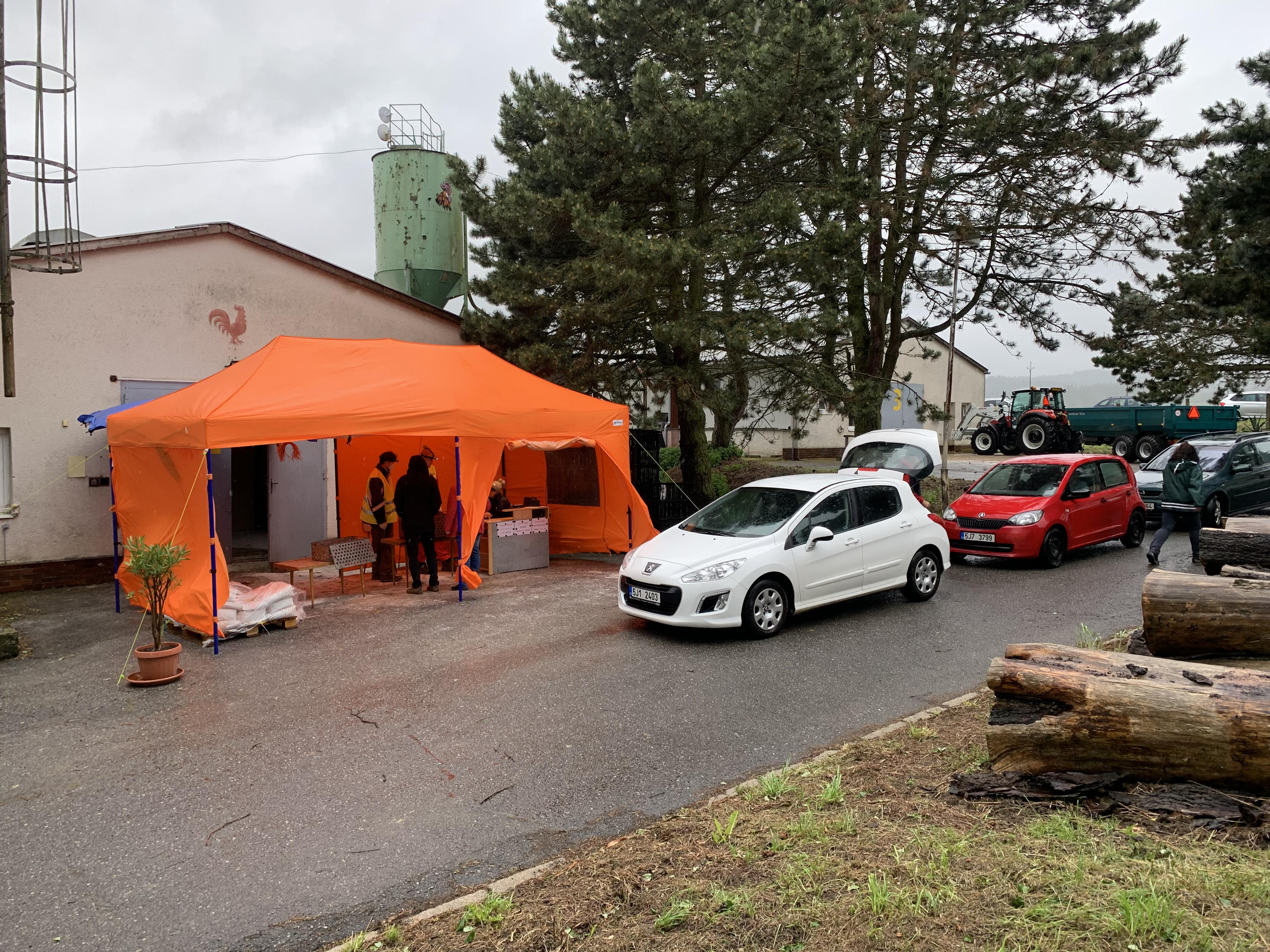 Bušta - odchov a prodej kuřic foto 2