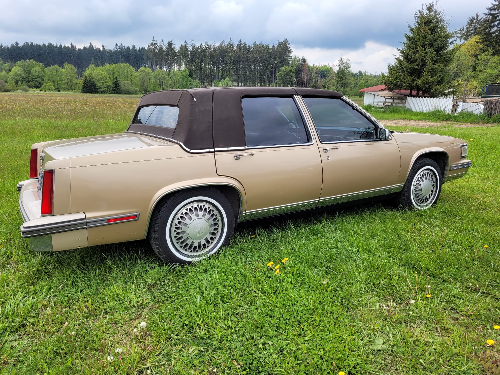 Rental obchod s.r.o.