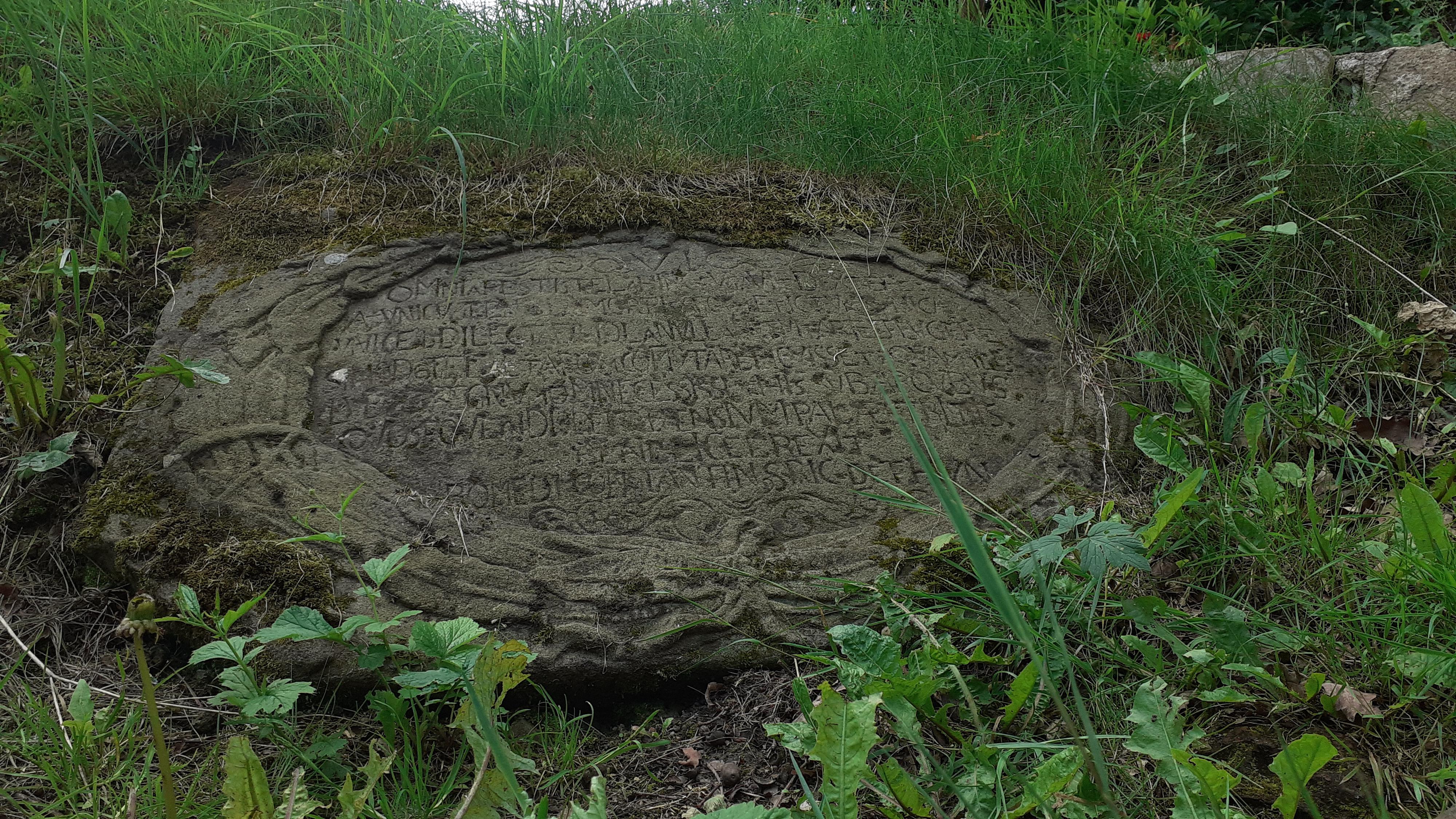 MSK Benešov nad Ploučnicí foto 2