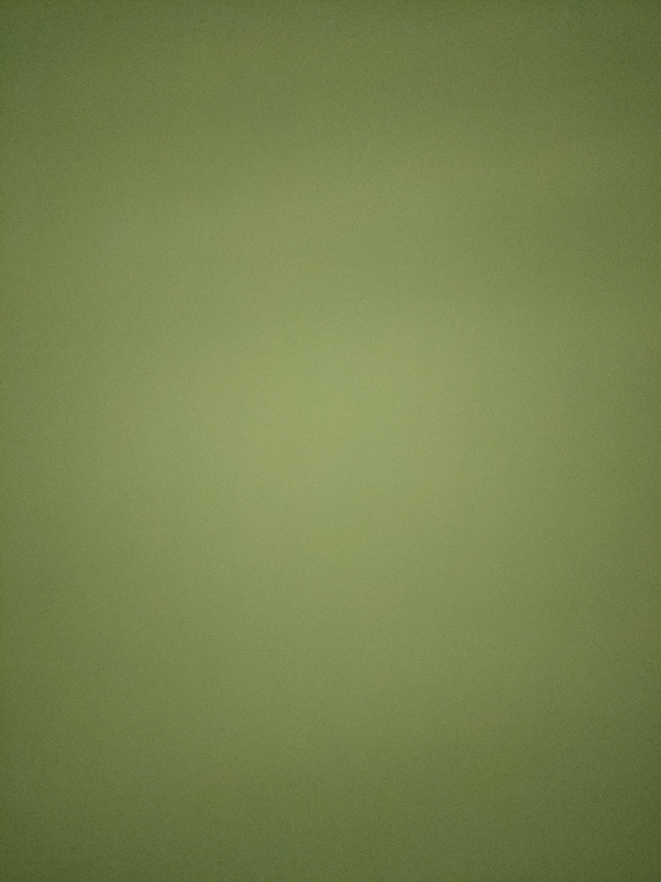 Restaurace a pivovar Veselka foto 3