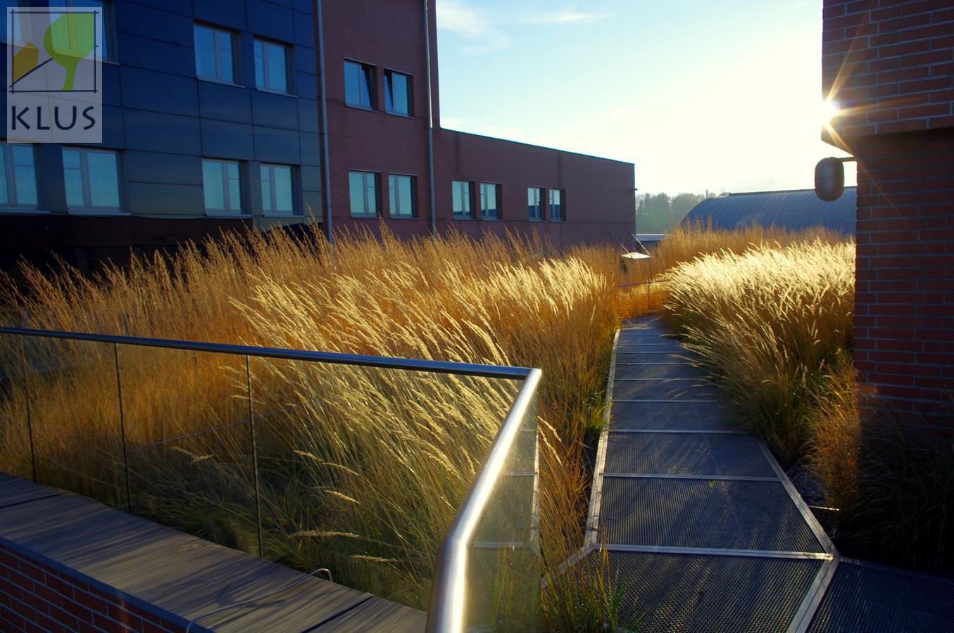 SVOBODNÉ ZAHRADY KLUS, s.r.o. foto 5